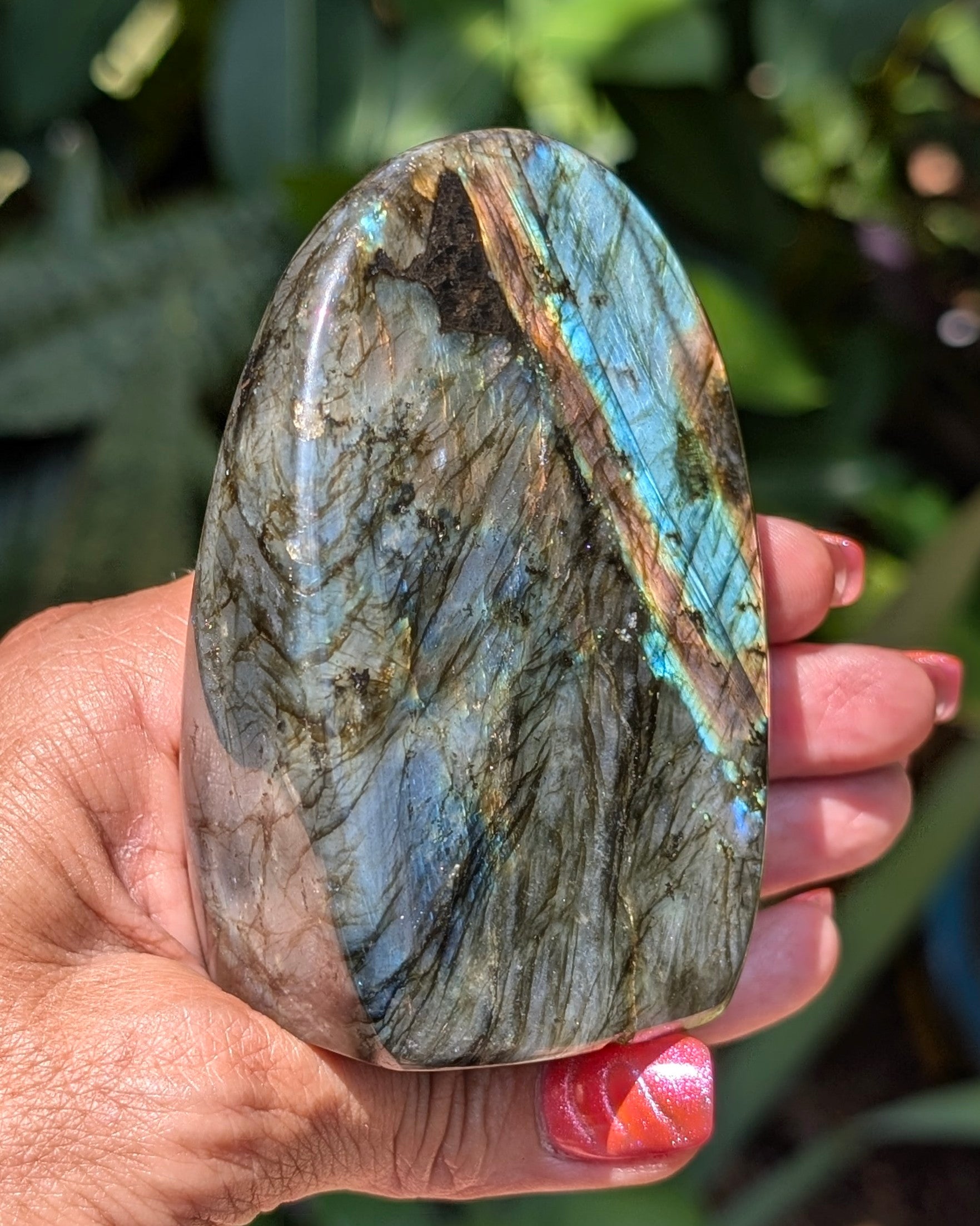Spectrolite Labradorite Freeform - Opt. G