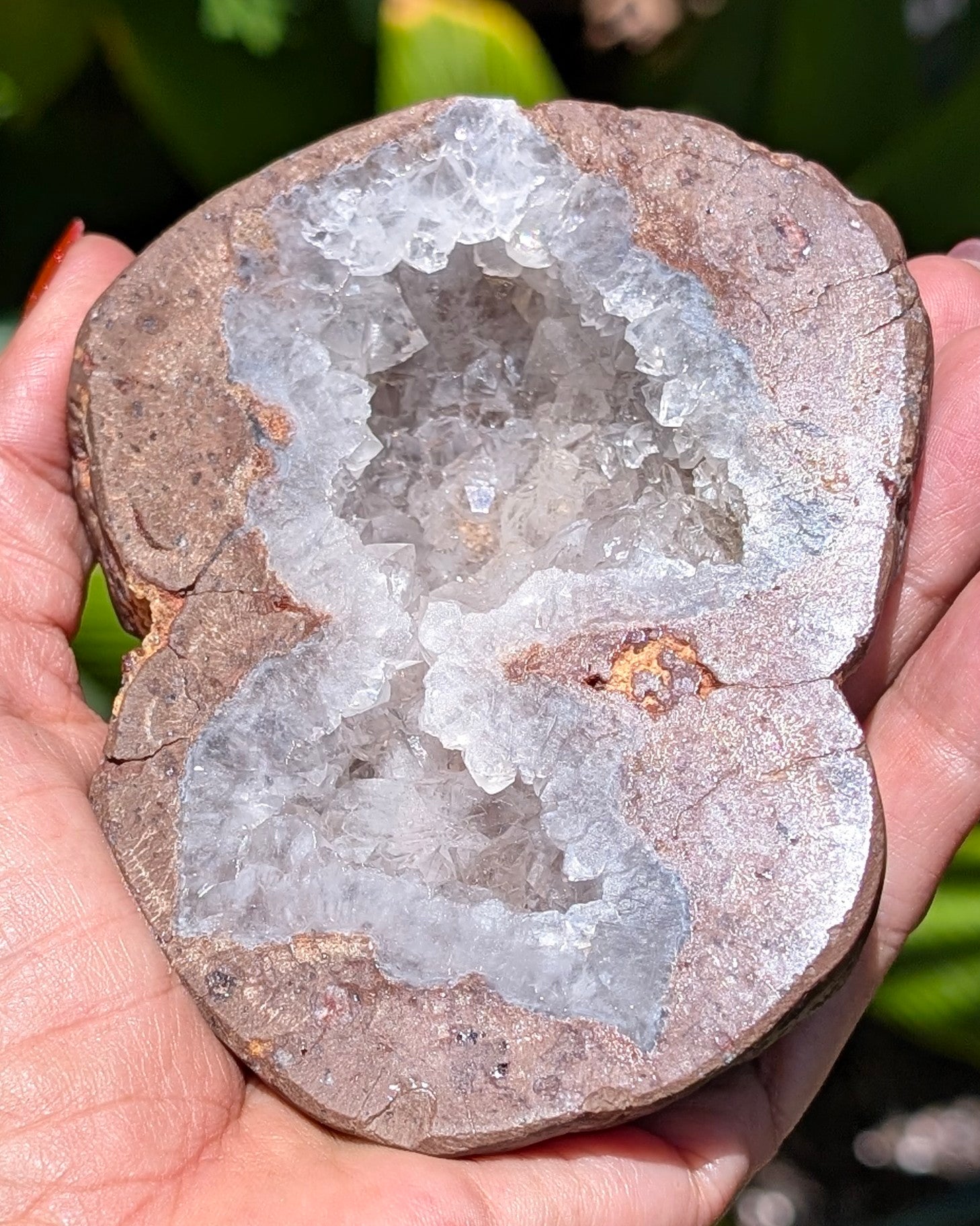 Fluorescent Thunderegg Geode Opt. A