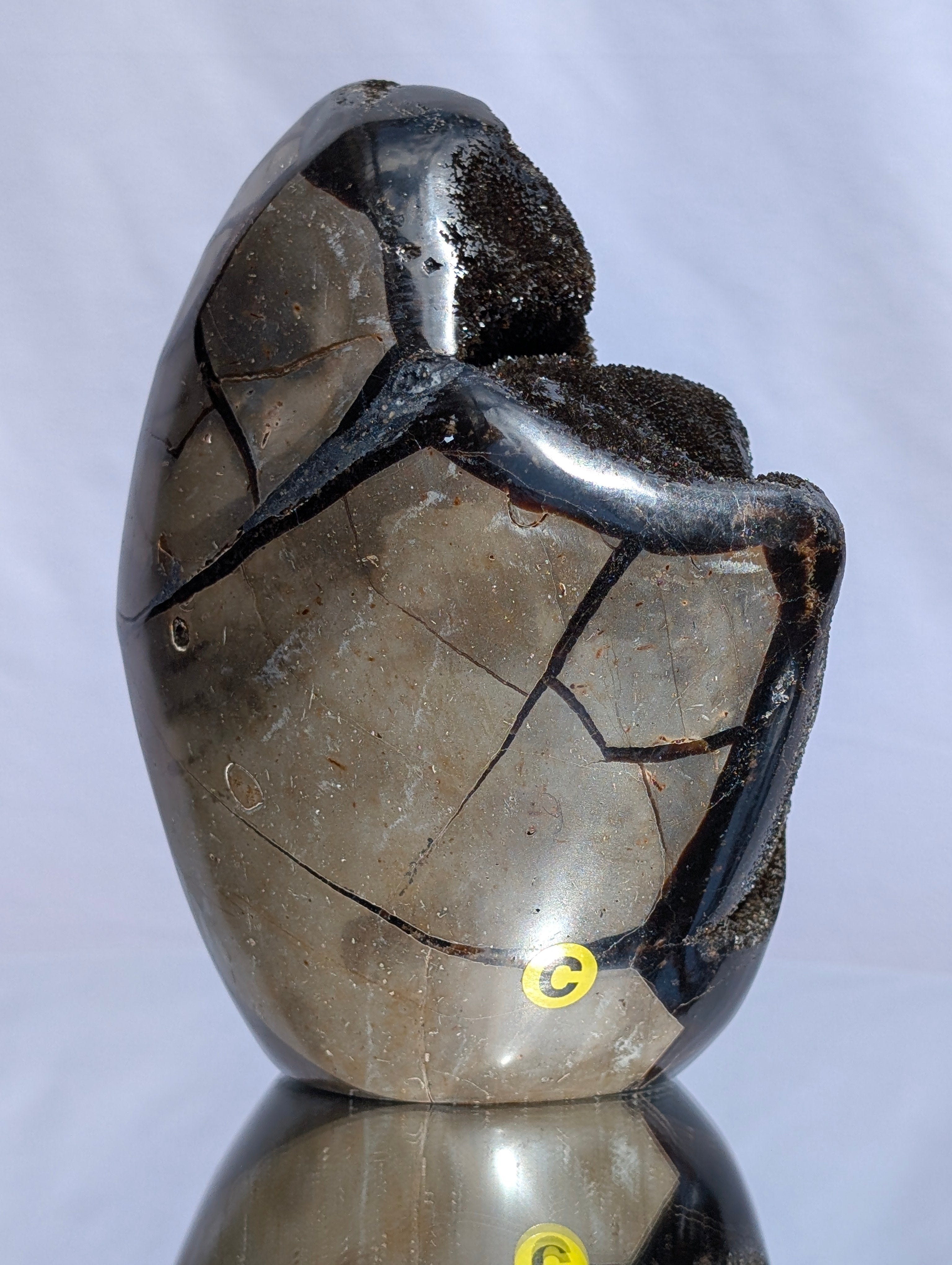 Septarian Dragon Egg C