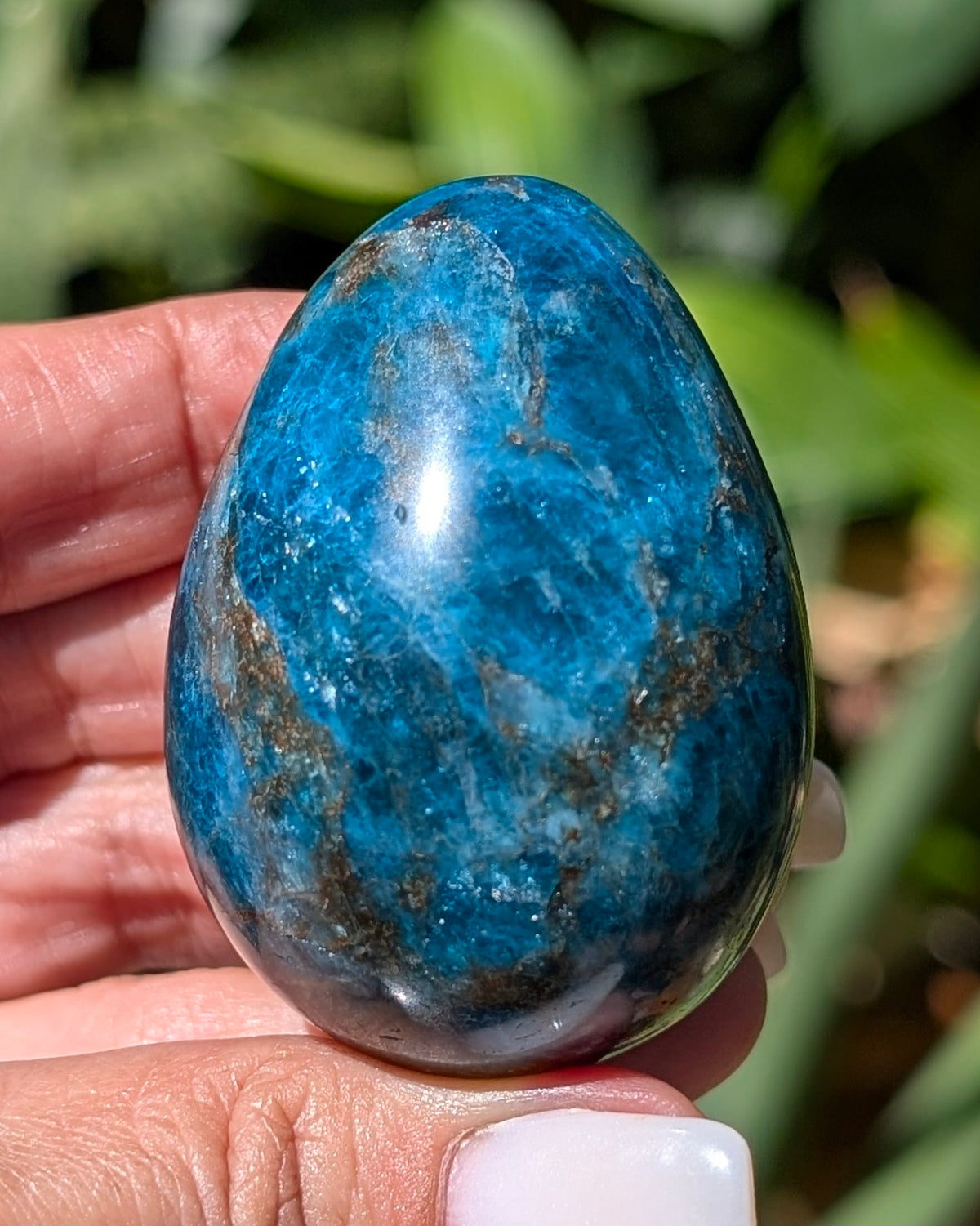 Apatite Egg - Opt. H