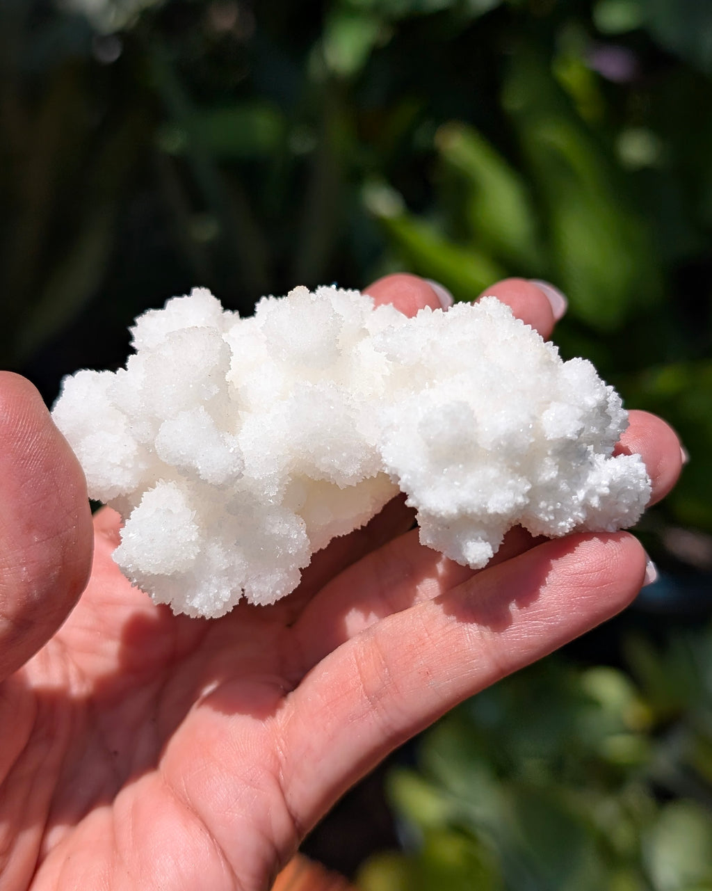 Fluorescent Aragonite Cluster I