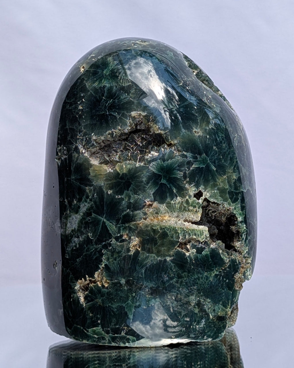 Ocean Jasper D