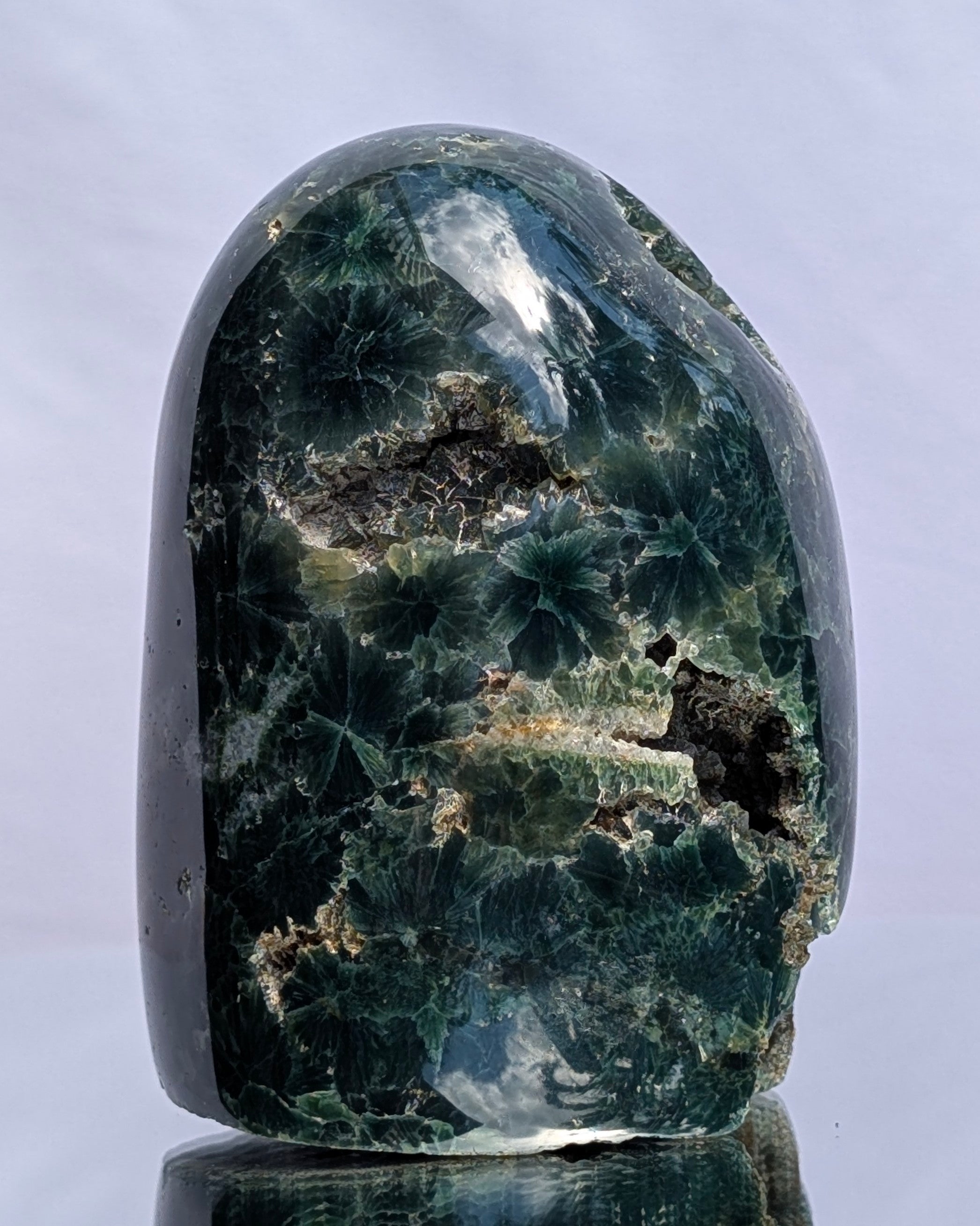Ocean Jasper D