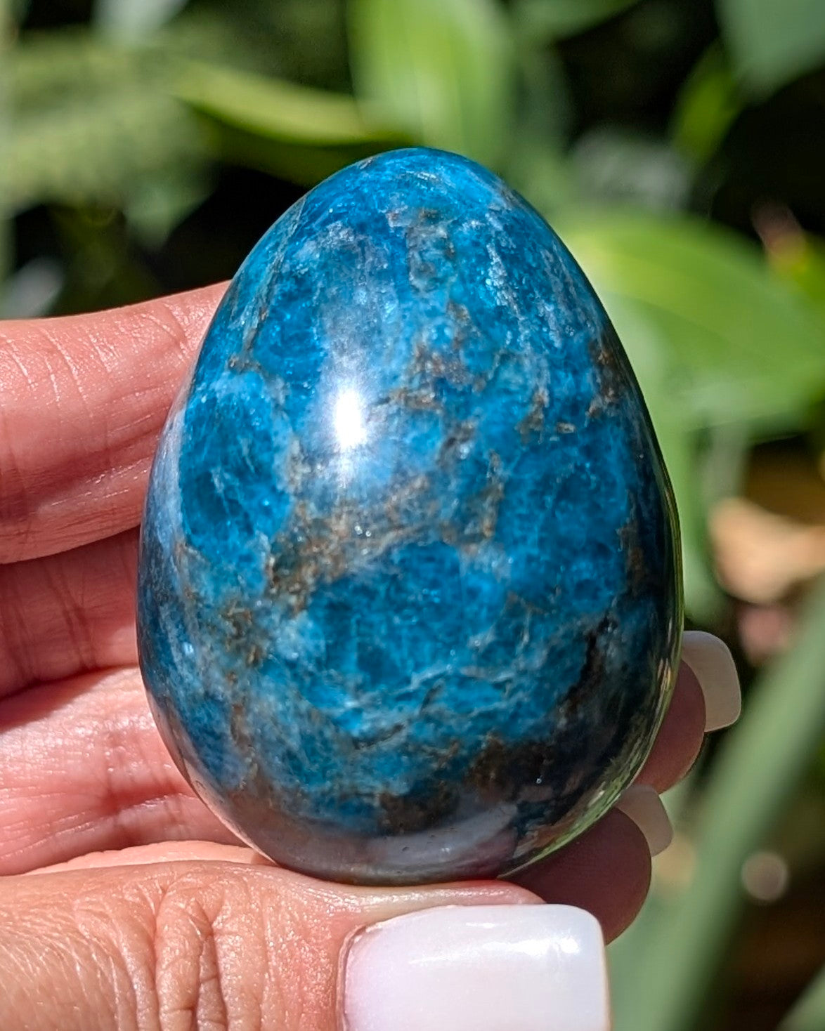 Apatite Egg - Opt. H