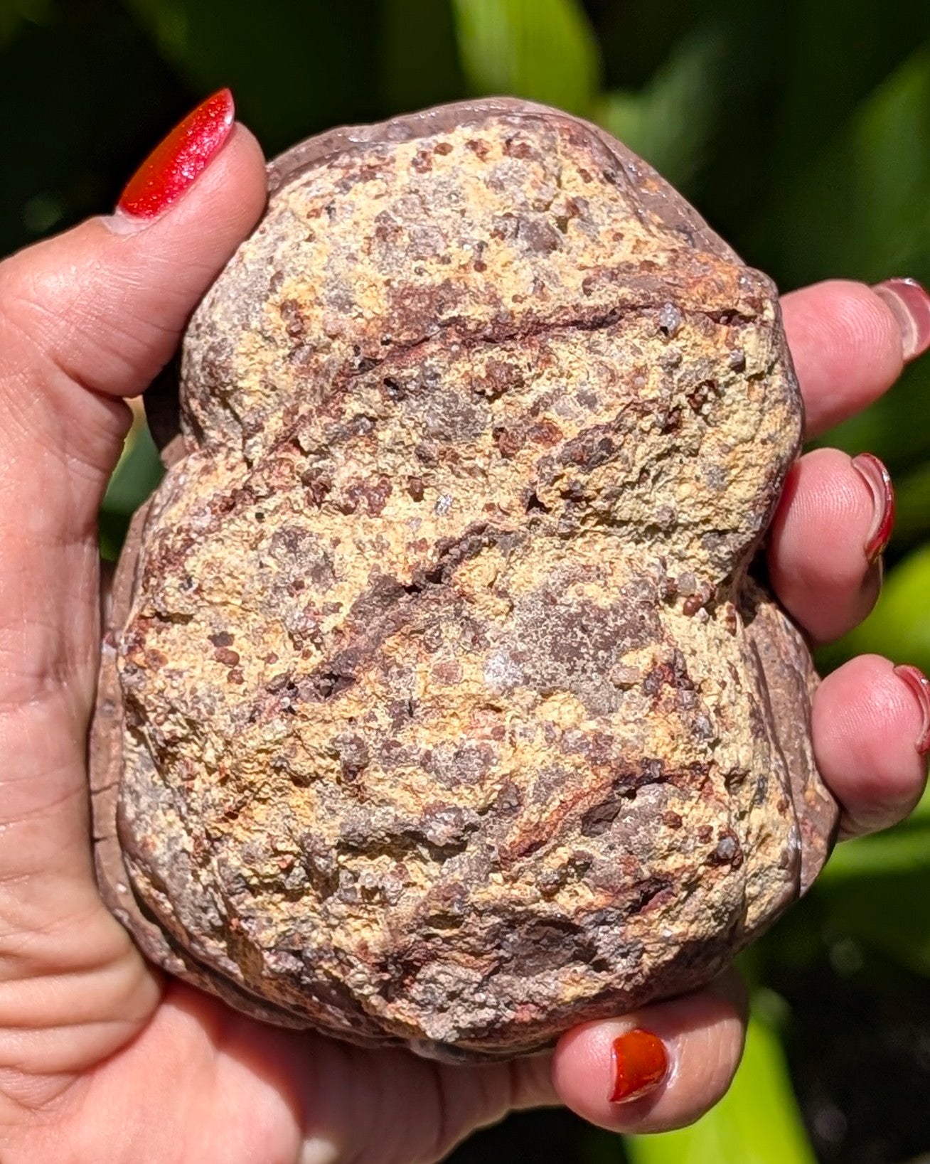 Fluorescent Thunderegg Geode Opt. A