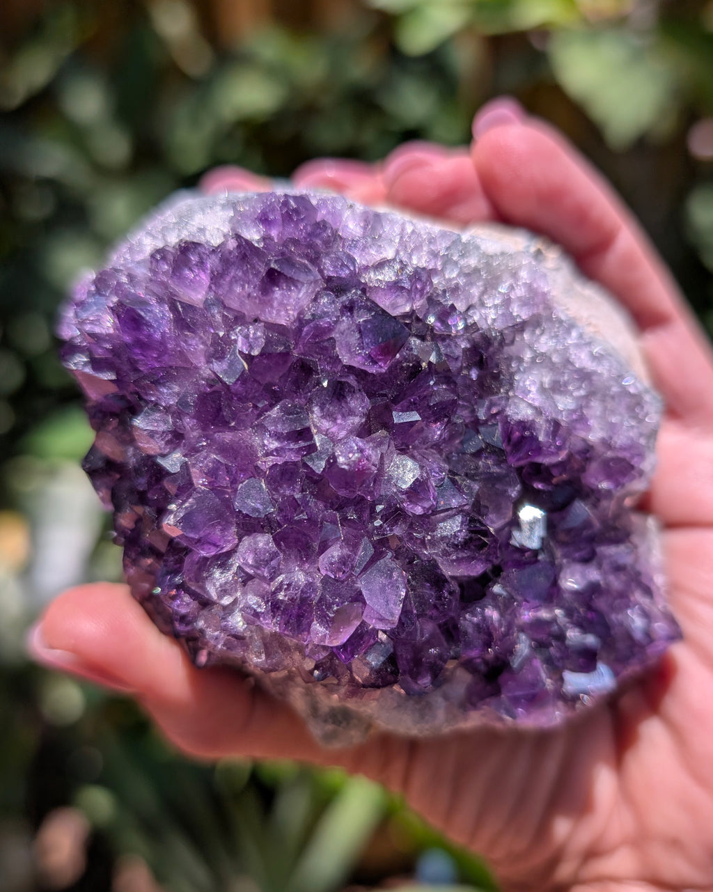 Amethyst Druzy Cluster F