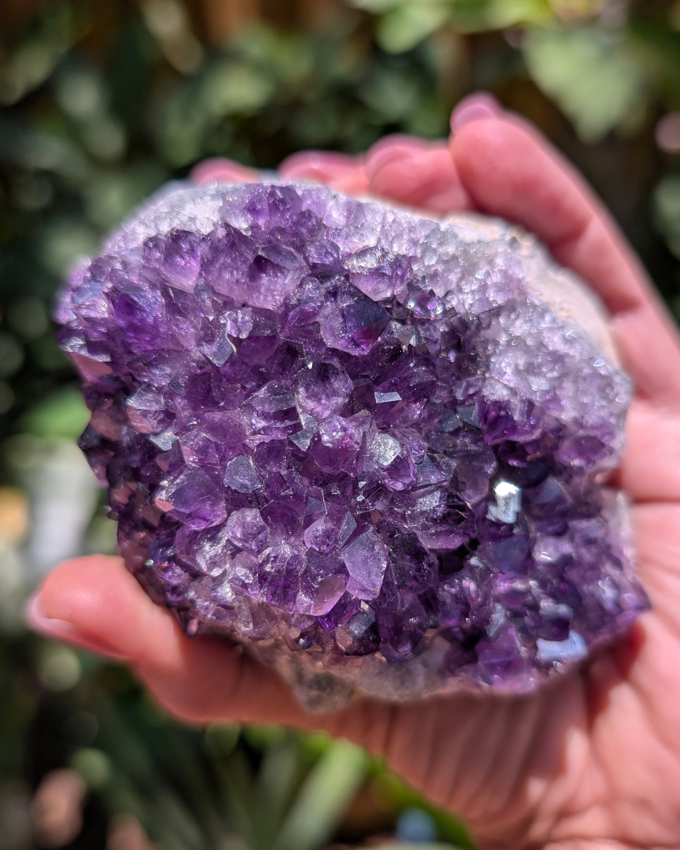Amethyst Druzy Cluster F