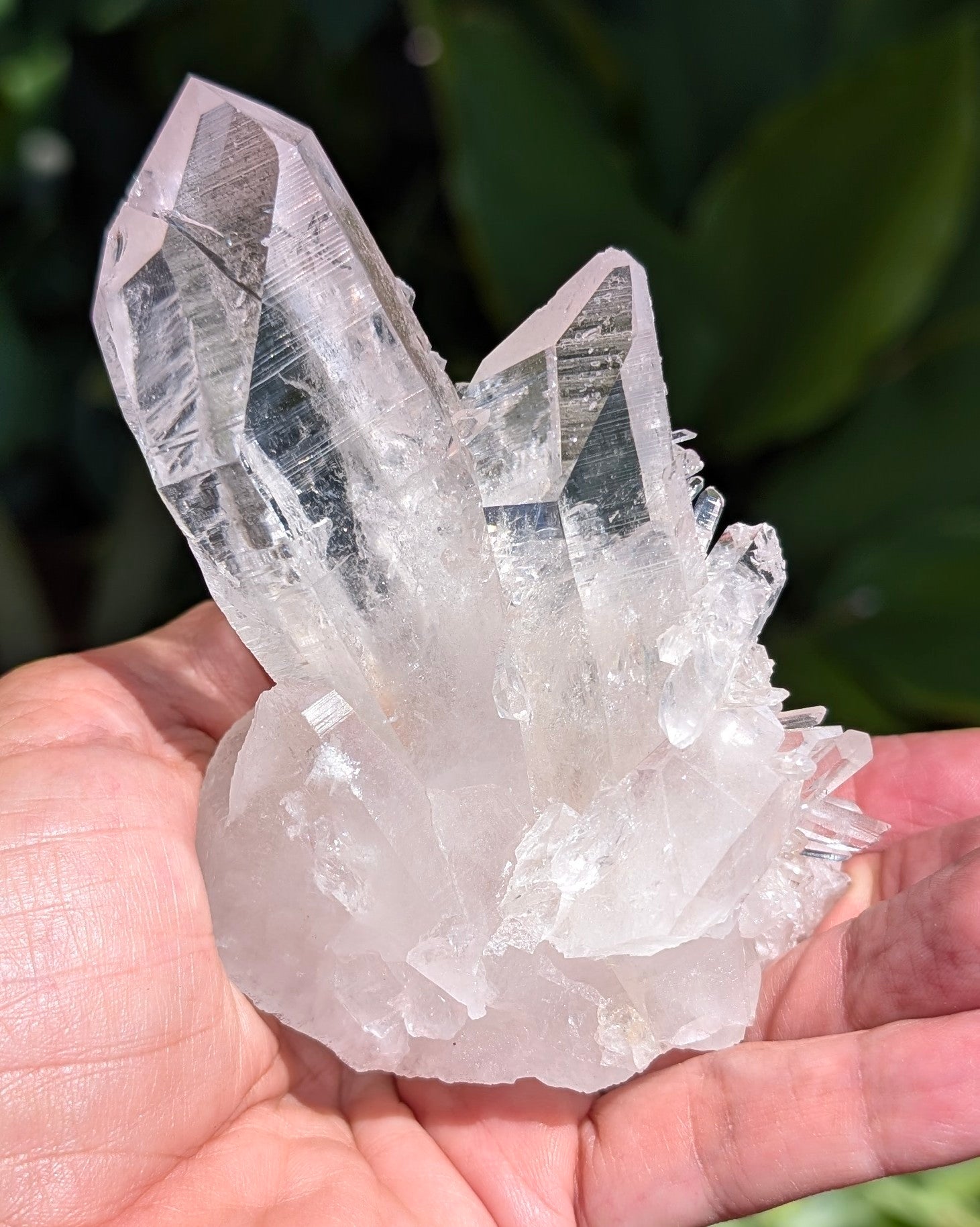 Gorgeous Brazilian Clear Quartz Cluster - Opt. B