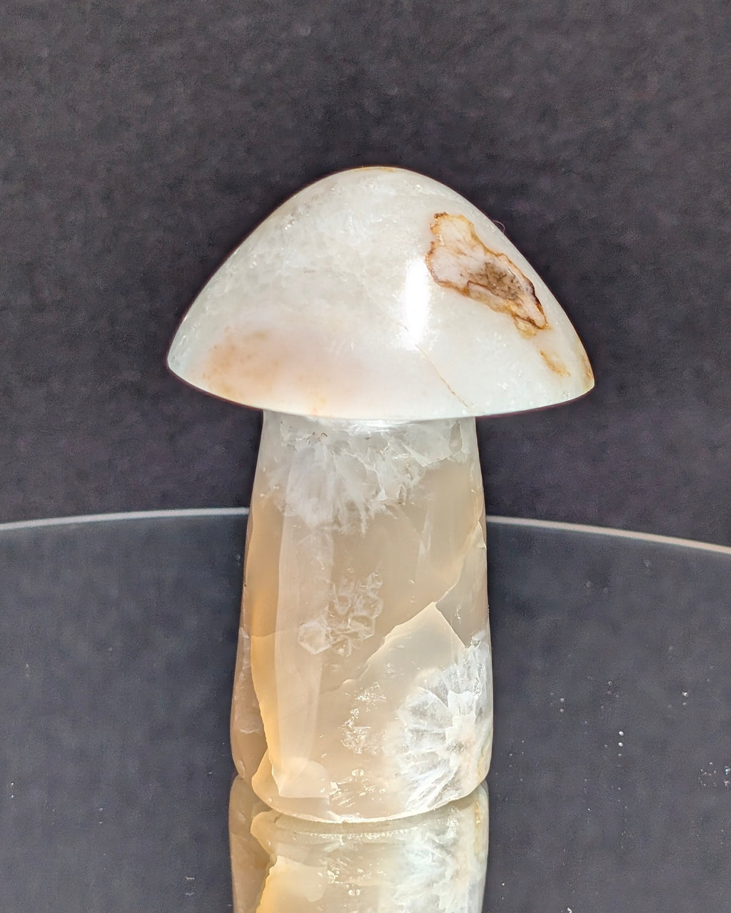 Flower Agate Mushroom E