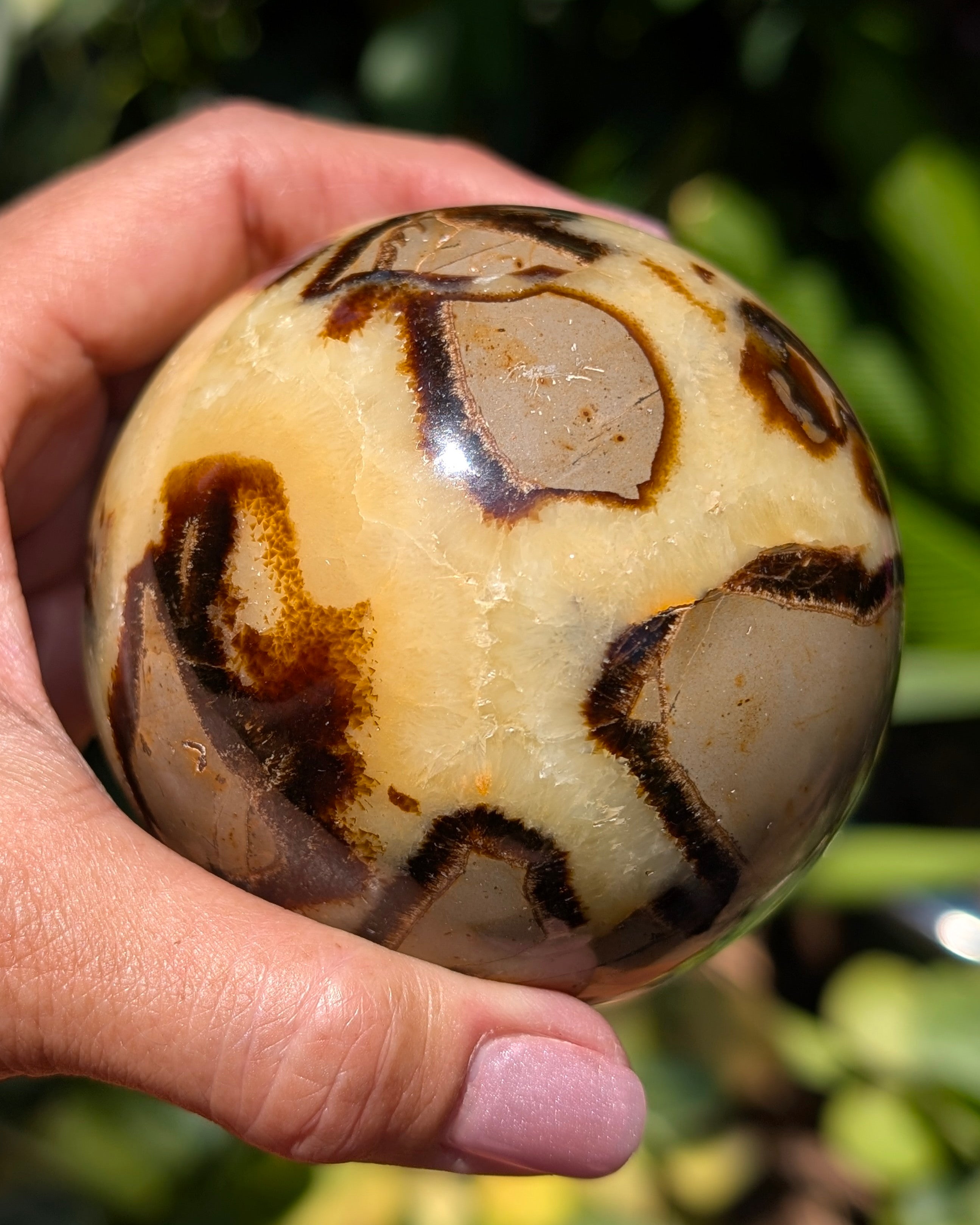 Septarian Dragon Stone Sphere A