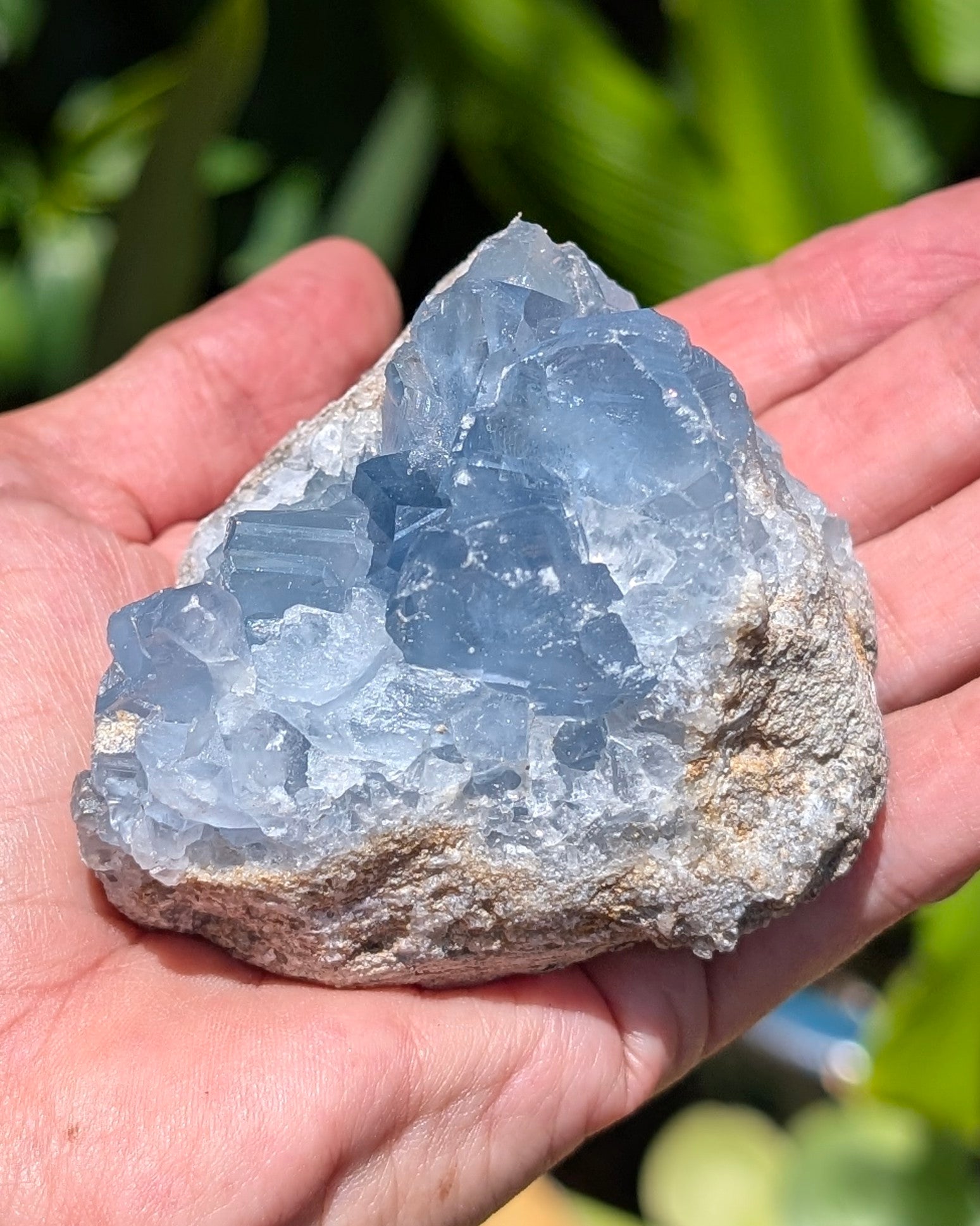 Celestite B