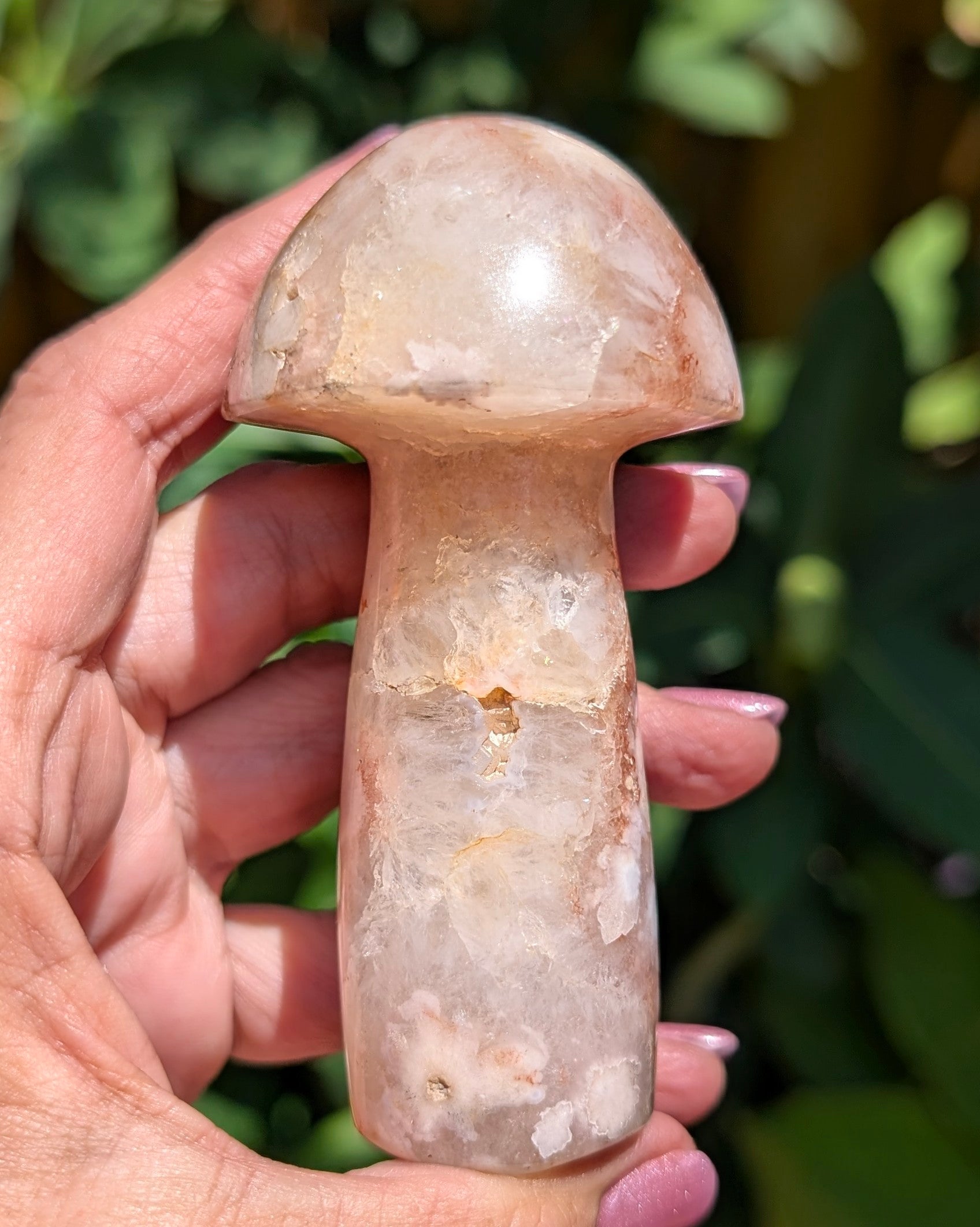 Flower Agate Mushroom G