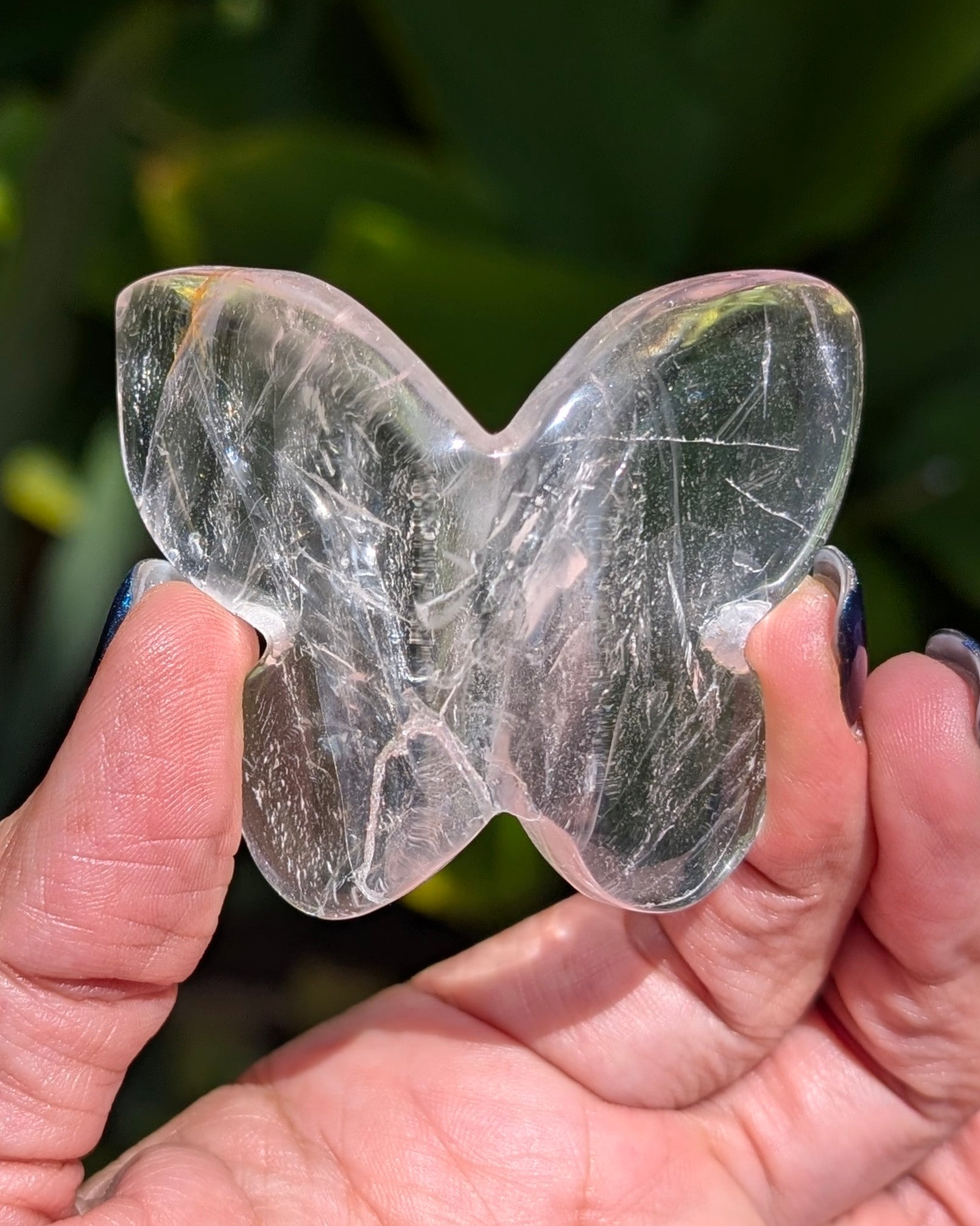 Clear Fluorite 3D Butterfly - Opt. W