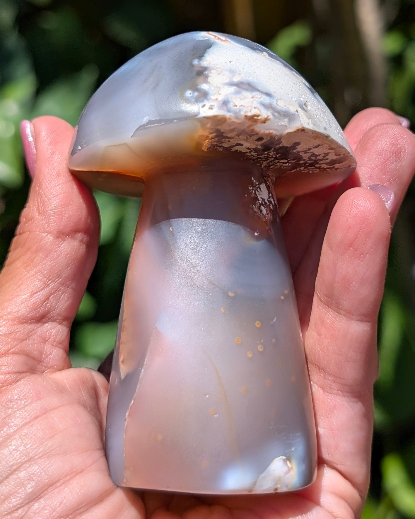 Orca Agate Mushroom I