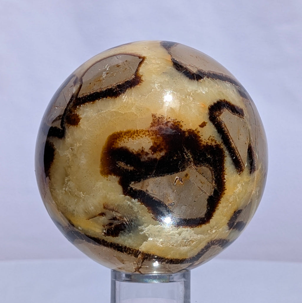 Septarian Dragon Stone Sphere A