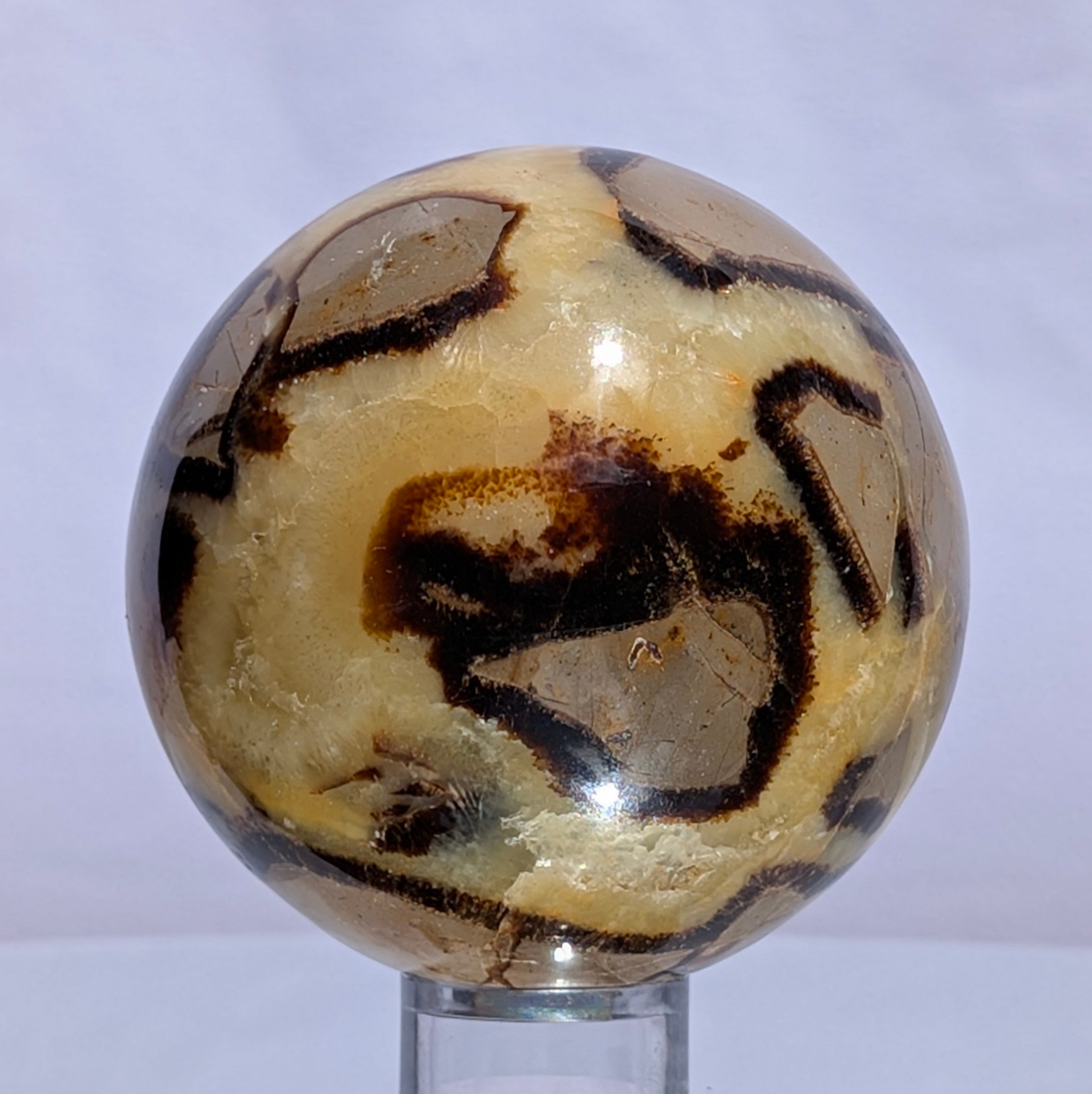 Septarian Dragon Stone Sphere A