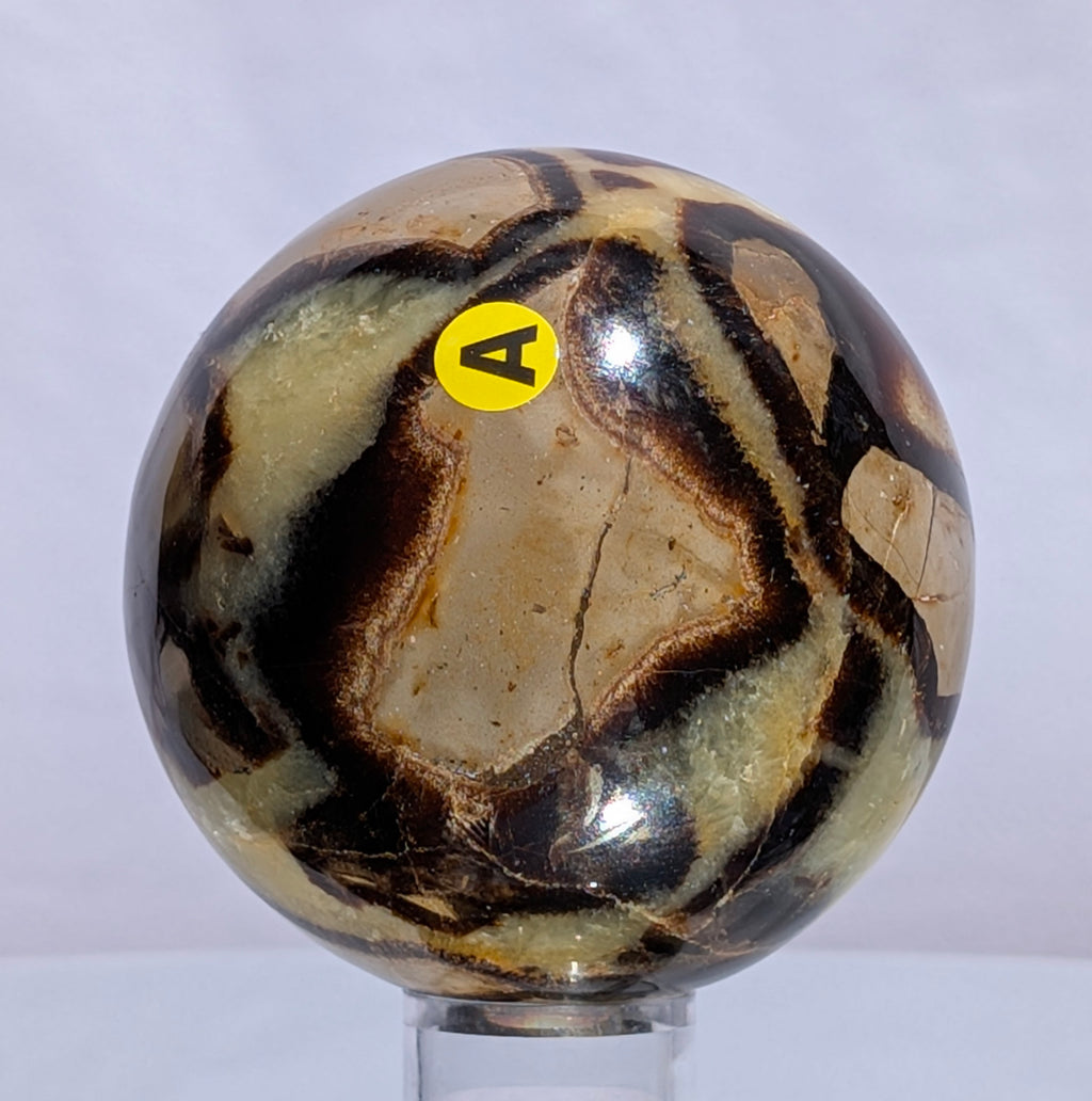 Septarian Dragon Stone Sphere A