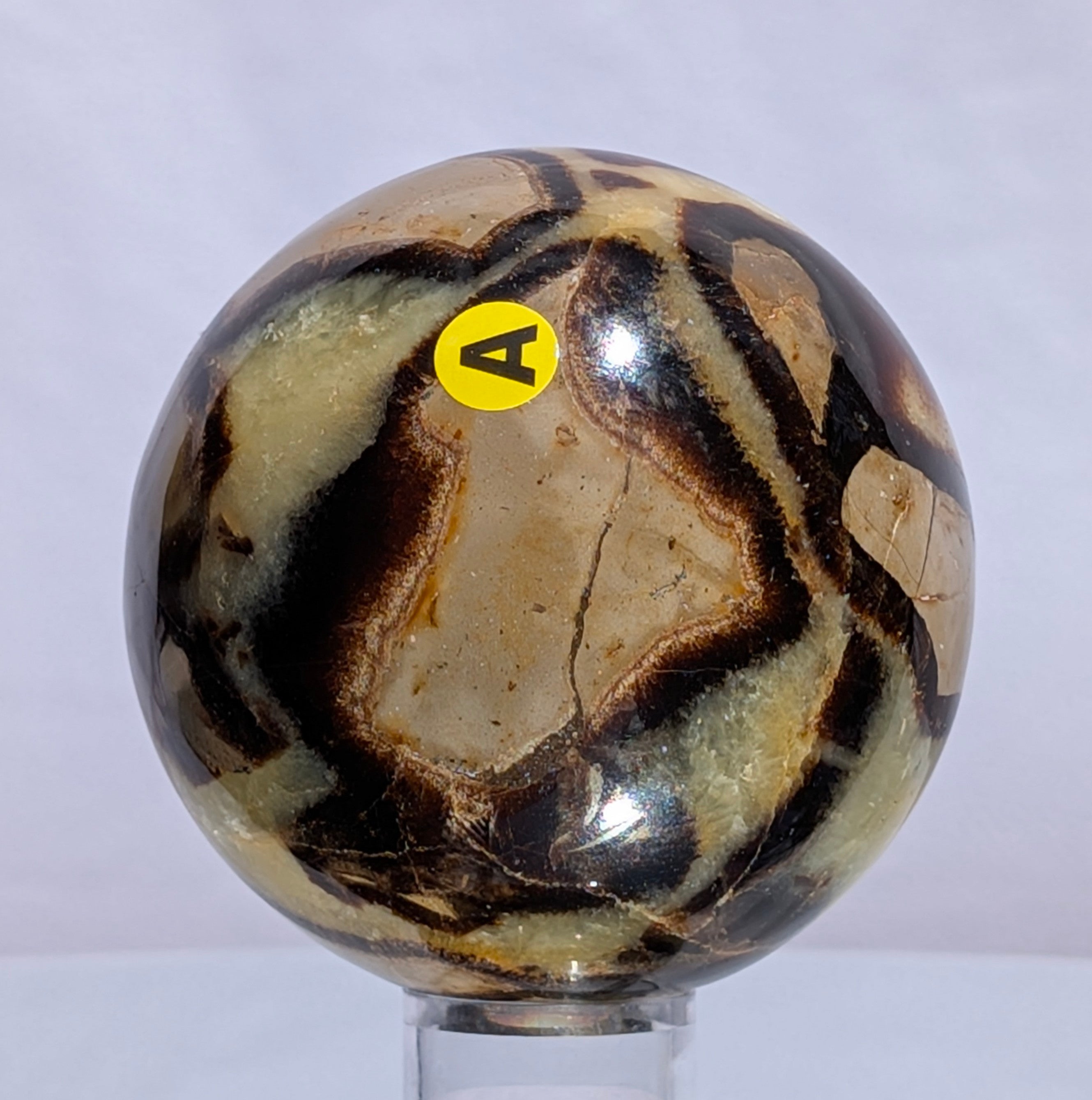 Septarian Dragon Stone Sphere A