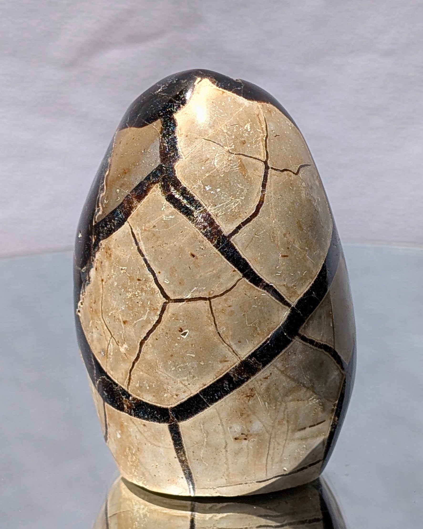 Septarian Dragon Egg D