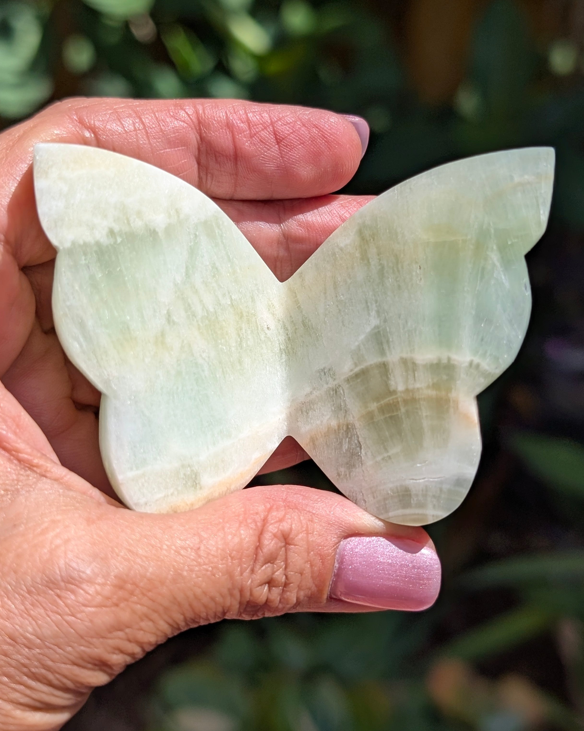 Caribbean Calcite Butterfly V