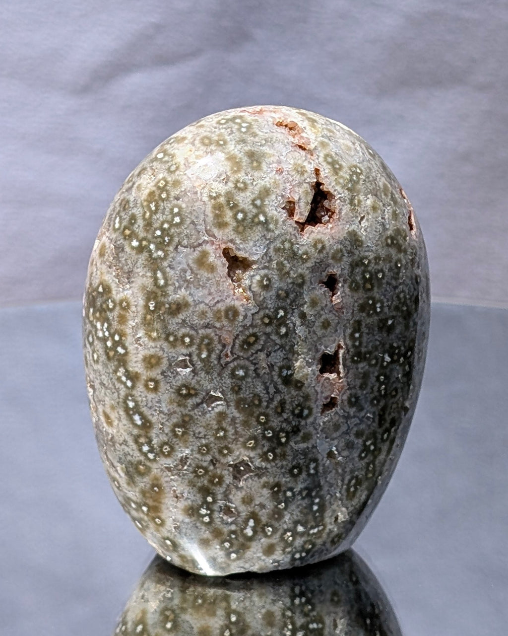 Ocean Jasper C