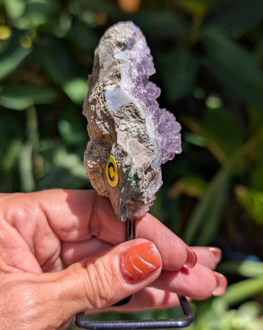 Druzy Amethyst on metal stand - Opt. C