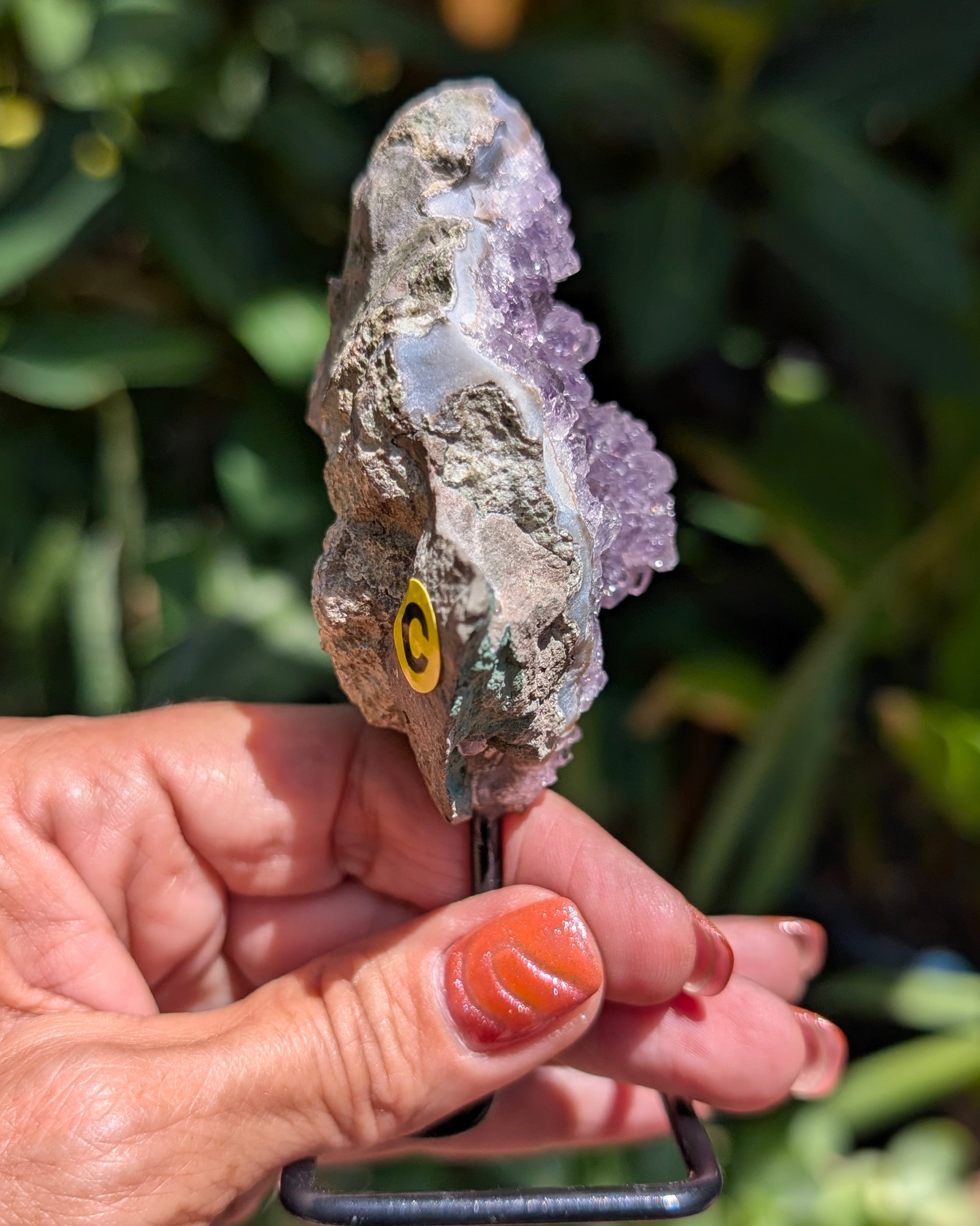 Druzy Amethyst on metal stand - Opt. C