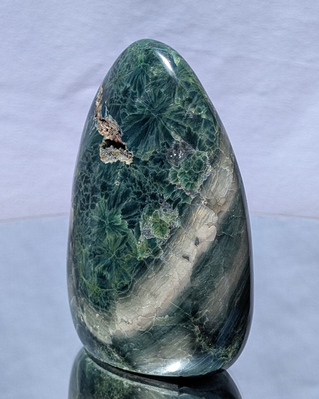 Ocean Jasper E