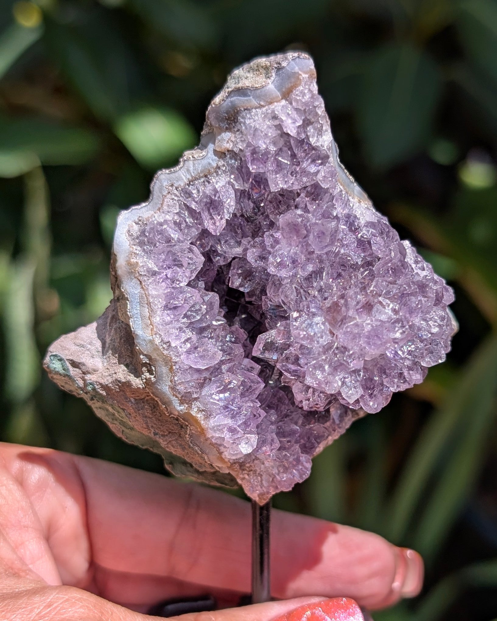 Druzy Amethyst on metal stand - Opt. C