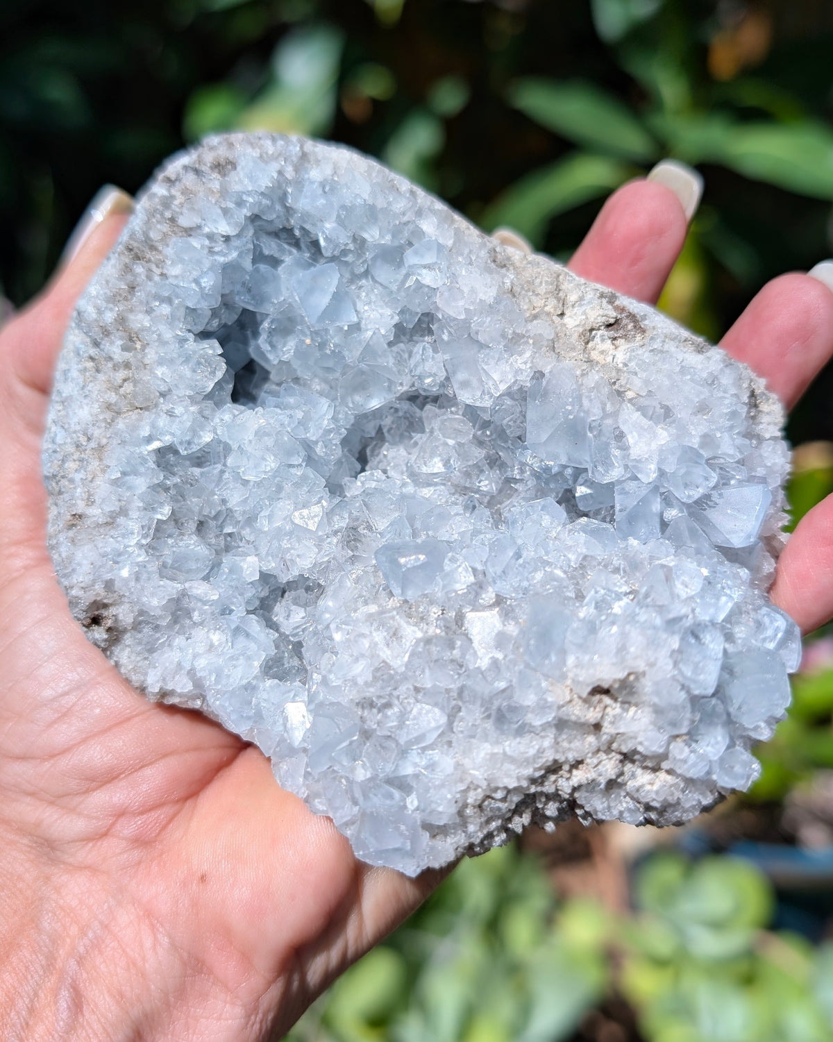 Celestine Cluster - Opt G