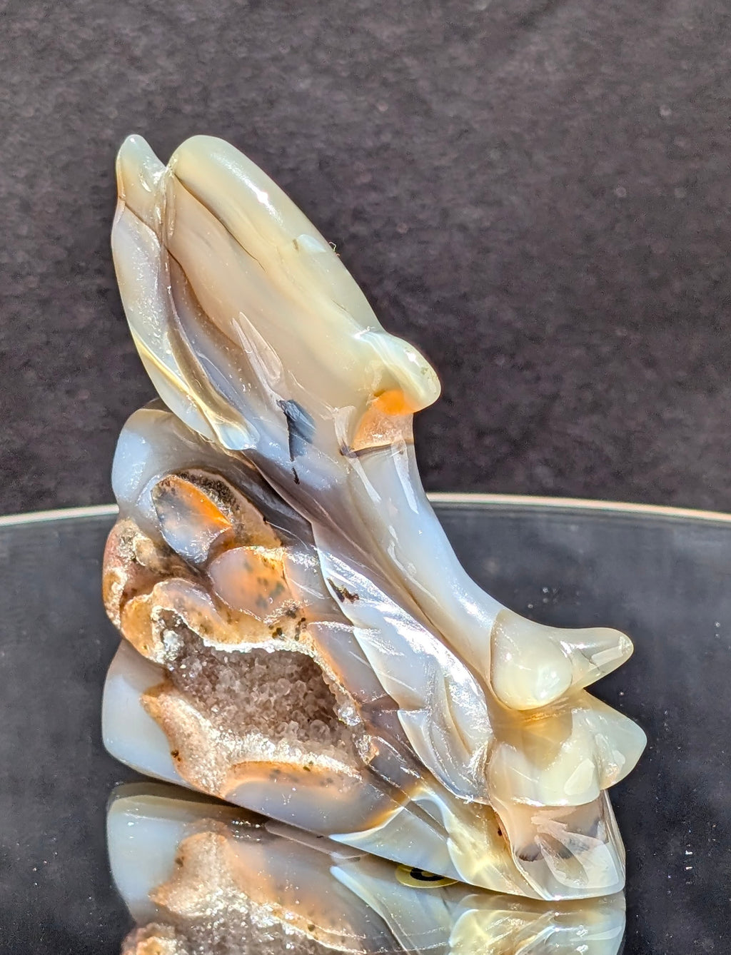 Agate Druzy Dolphin C