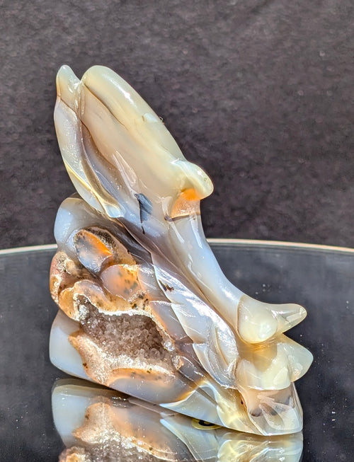 Agate Druzy Dolphin C