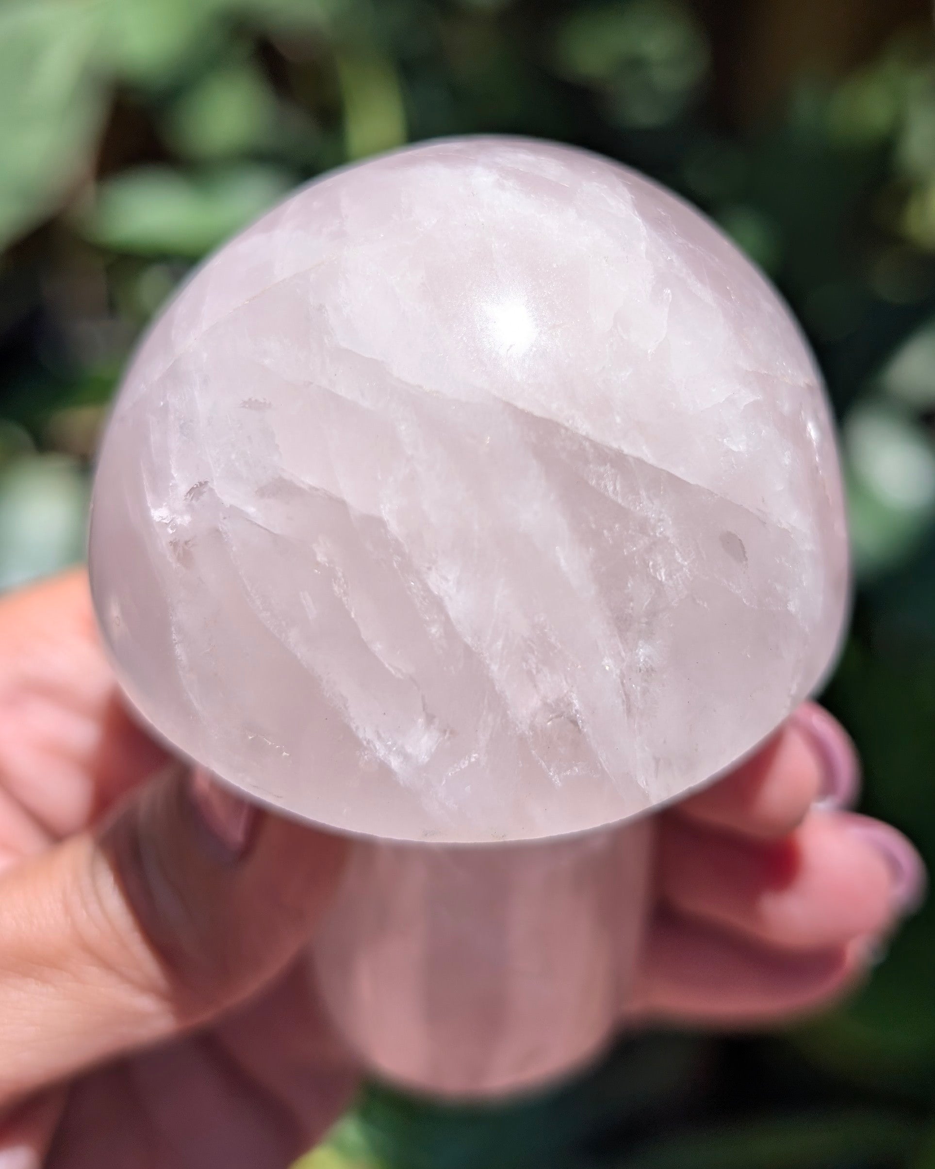 Rose Quartz Mushroom C