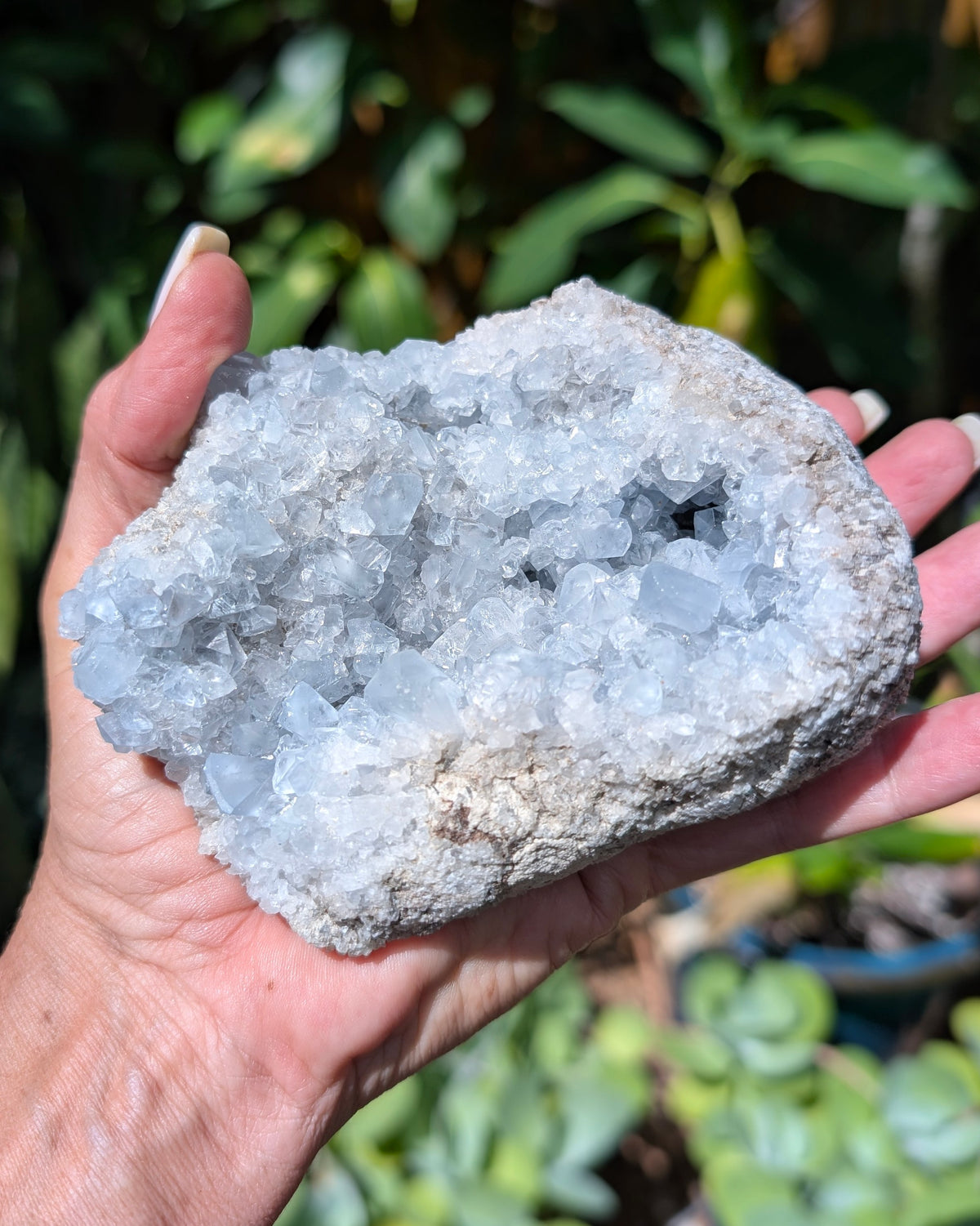 Celestine Cluster - Opt G