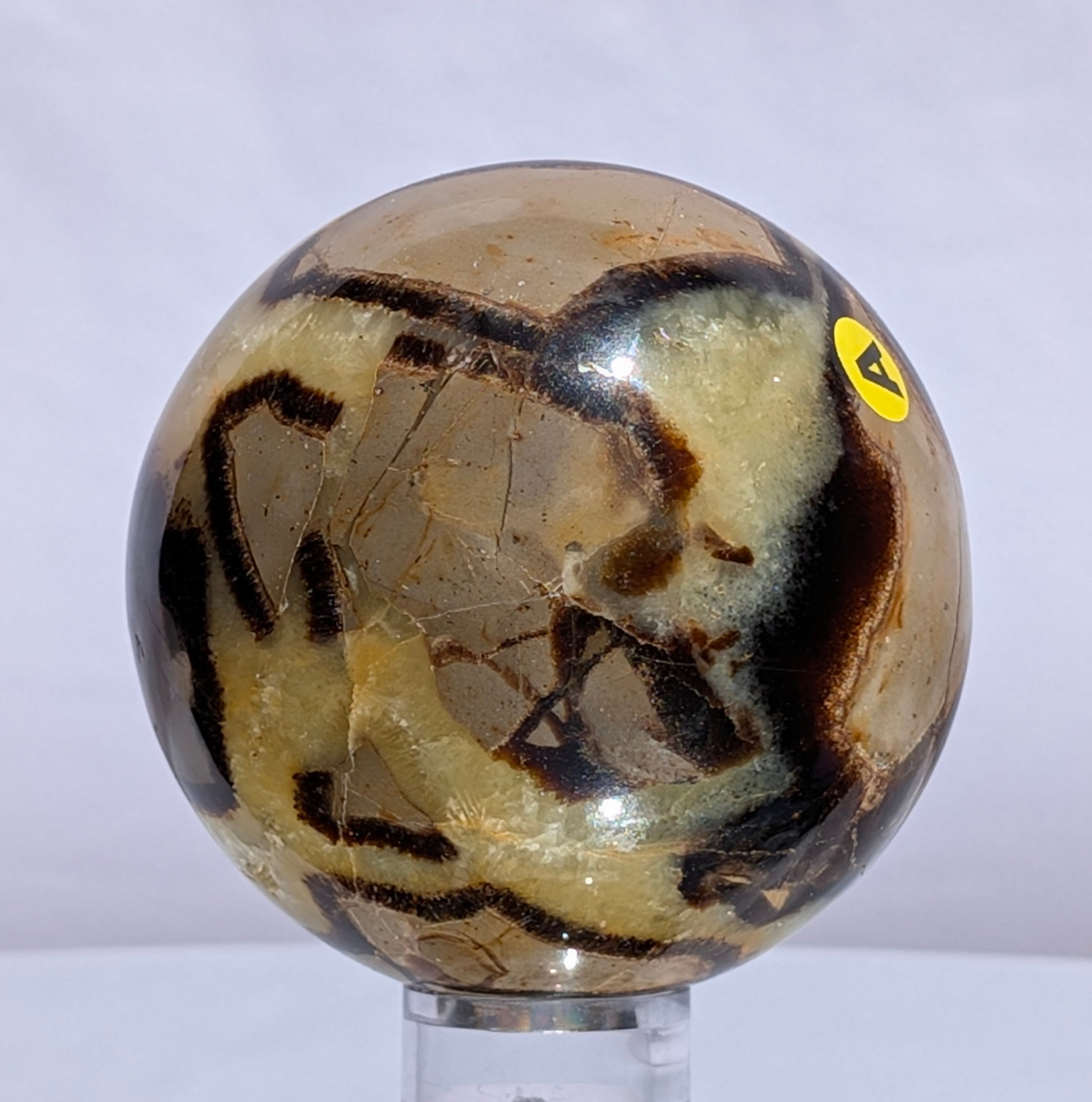 Septarian Dragon Stone Sphere A