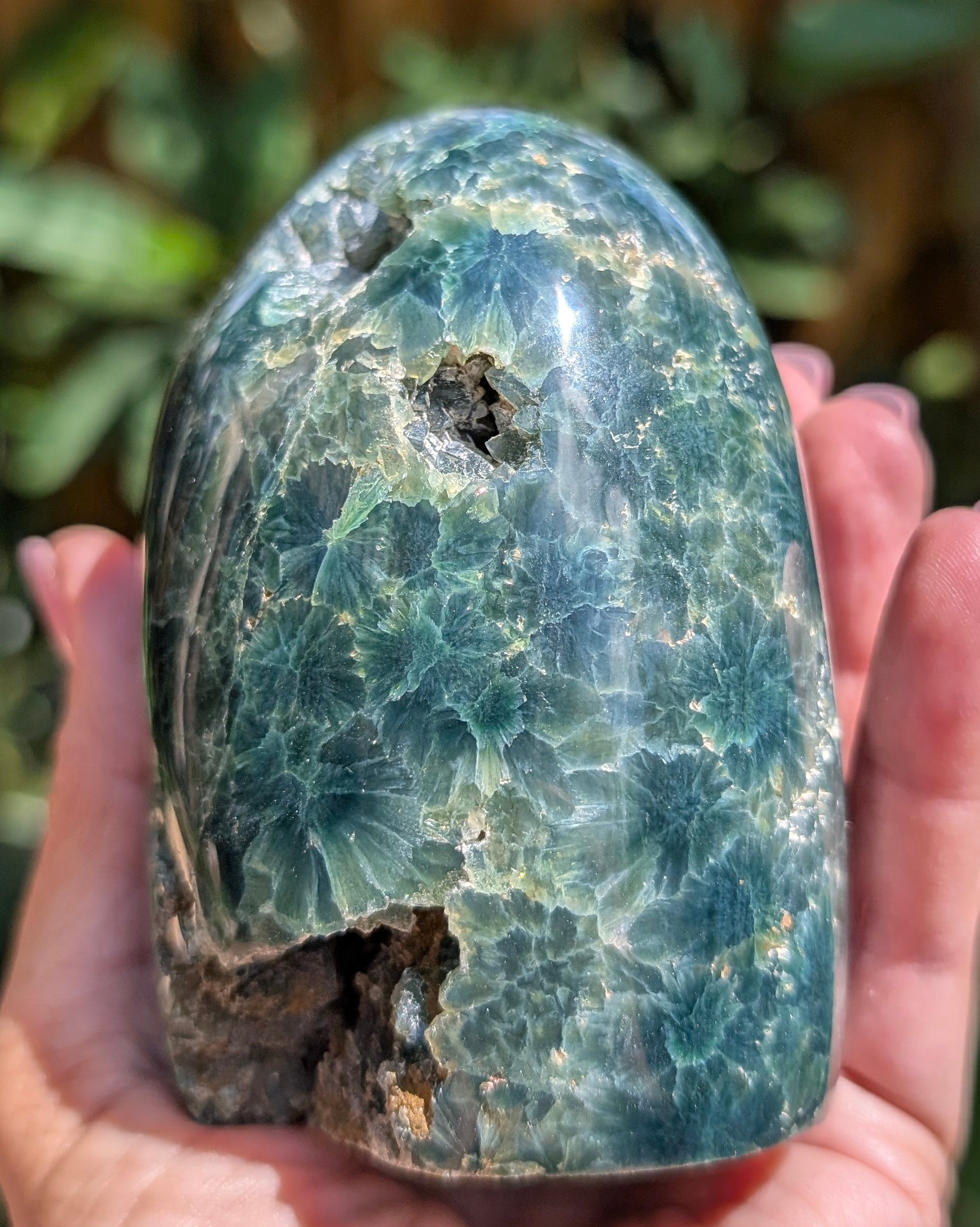 Ocean Jasper D