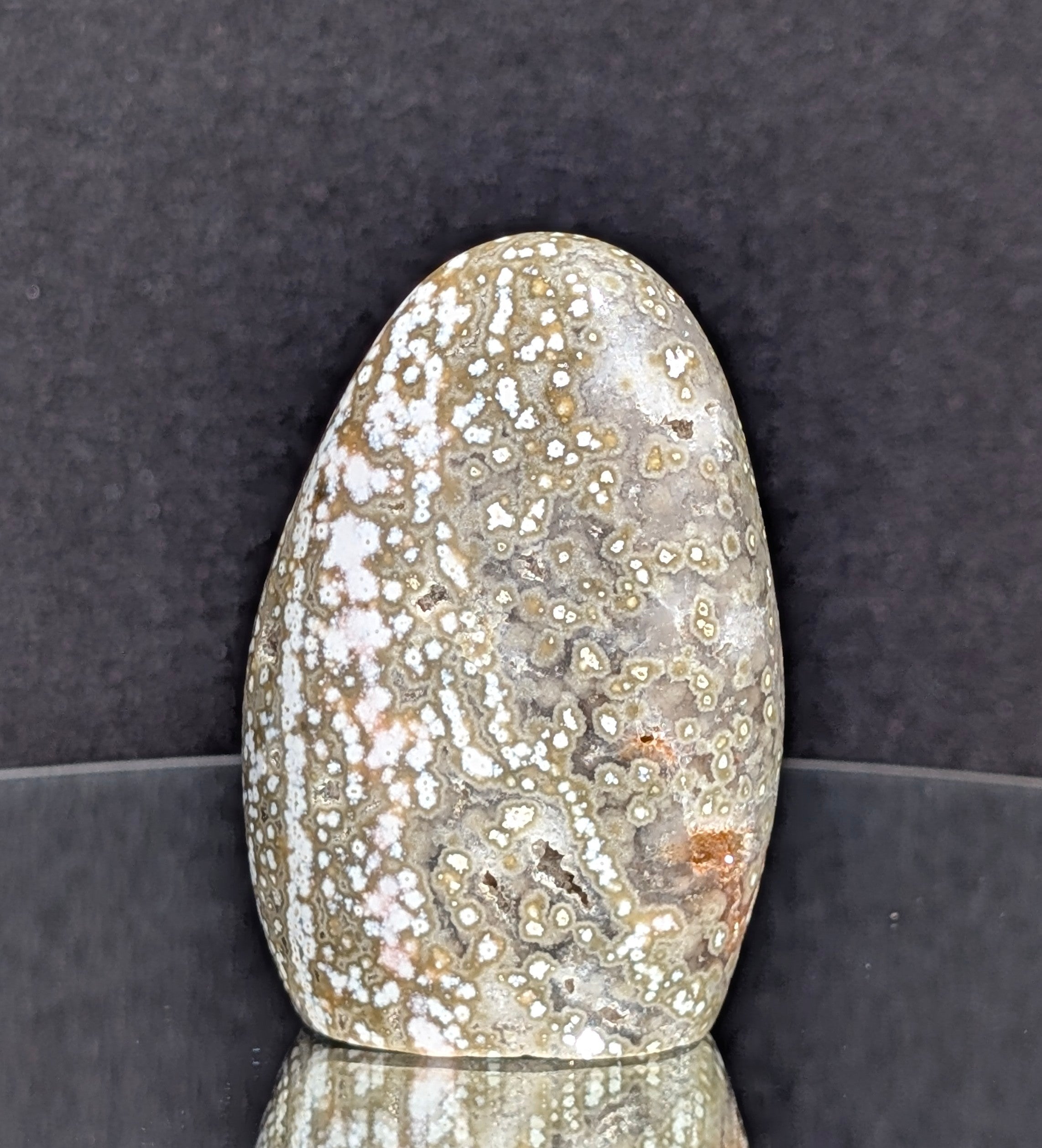 Ocean Jasper B
