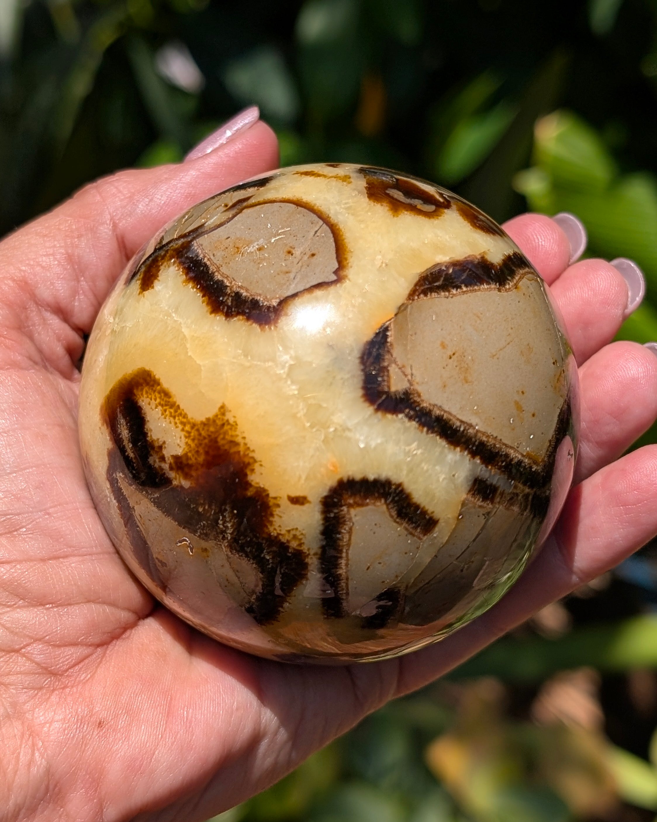Septarian Dragon Stone Sphere A