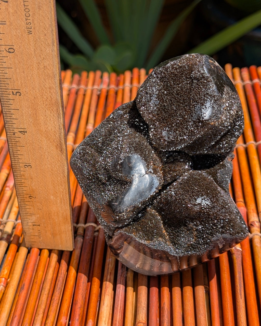 Septarian Dragon Egg C