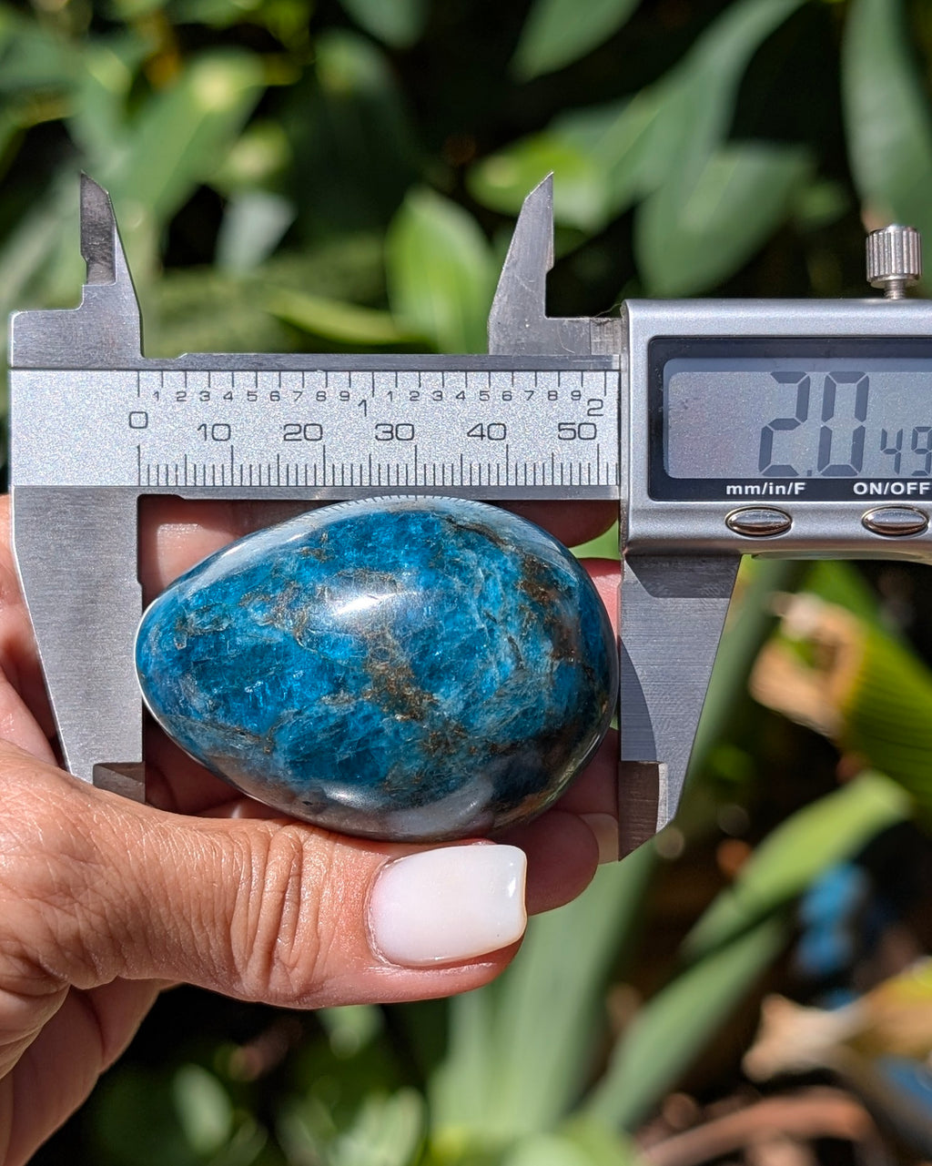 Apatite Egg - Opt. H