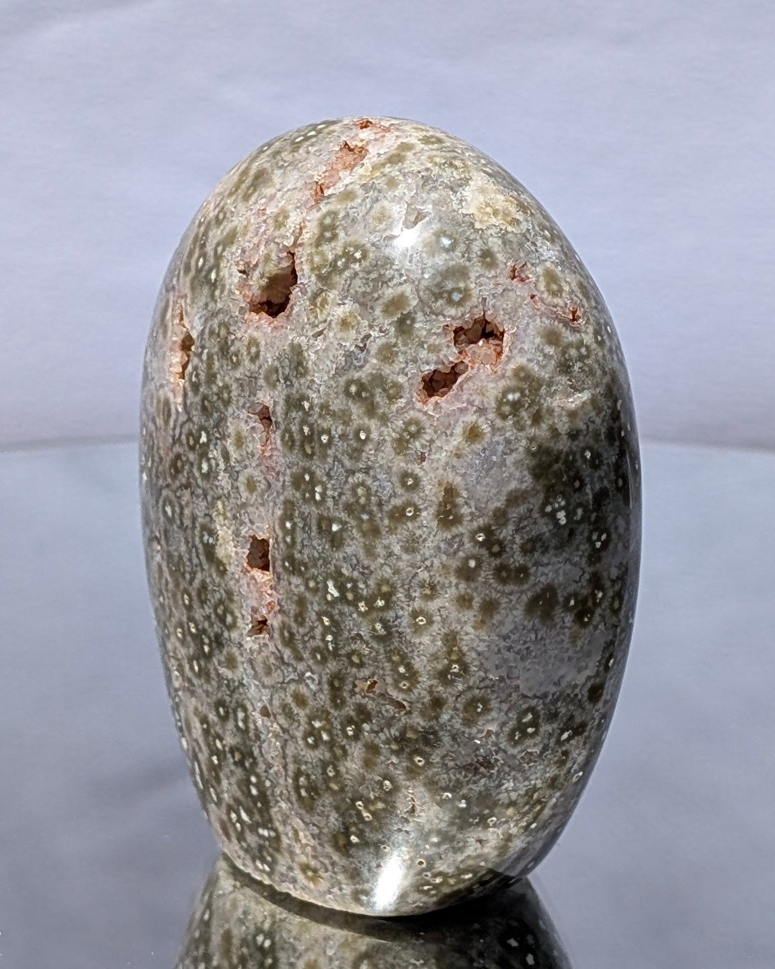 Ocean Jasper C
