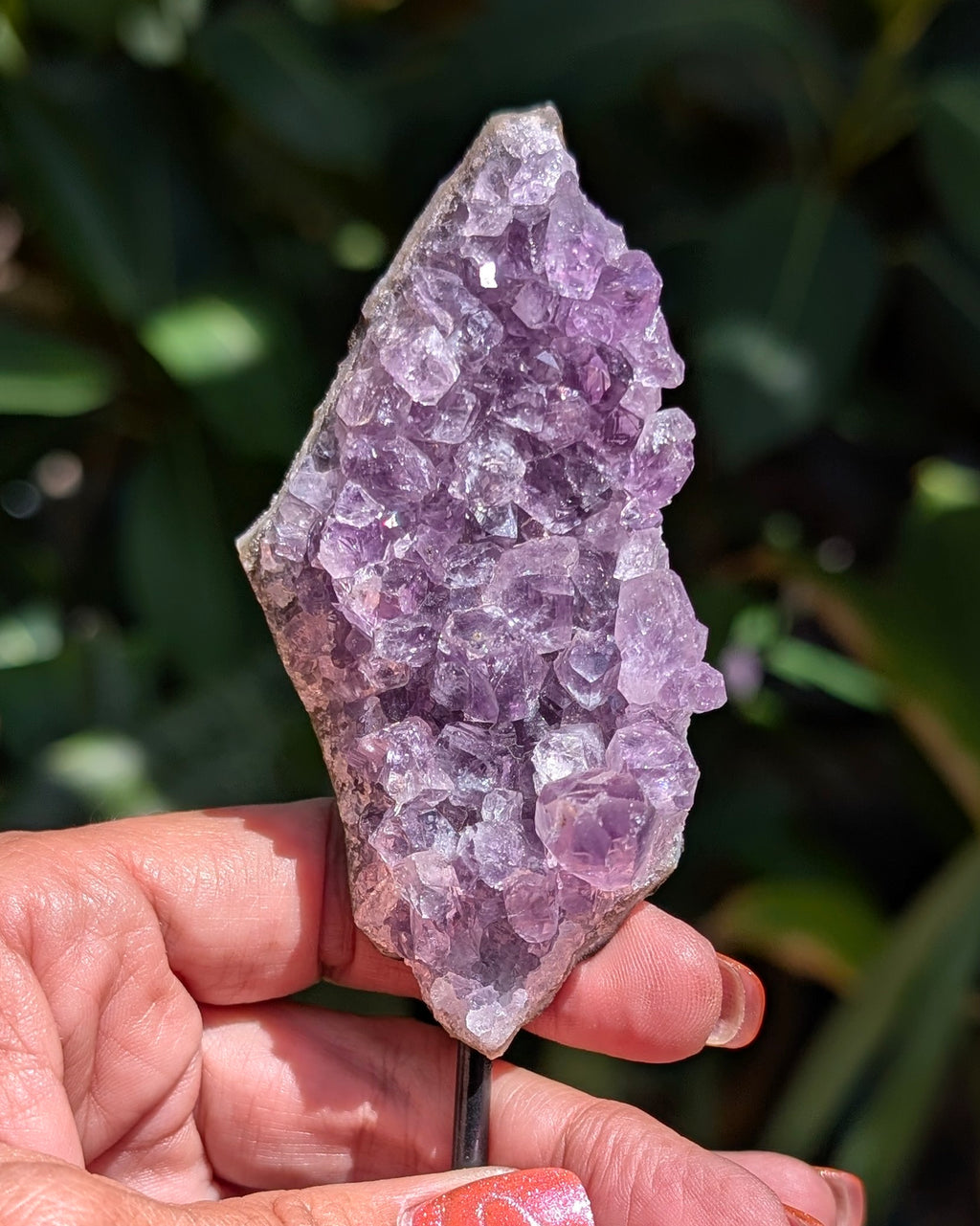 Druzy Amethyst on metal stand - Opt. D