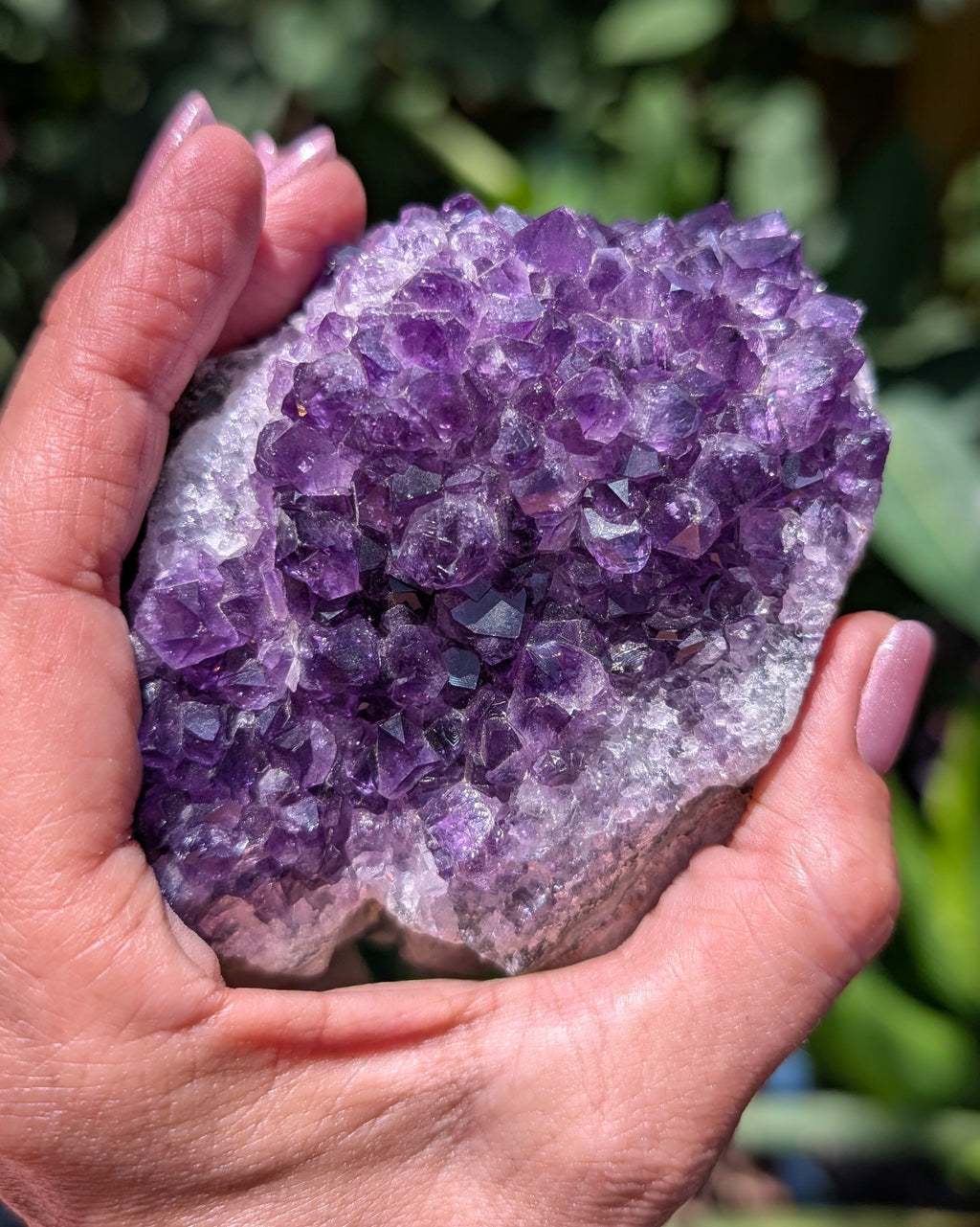 Amethyst Druzy Cluster F