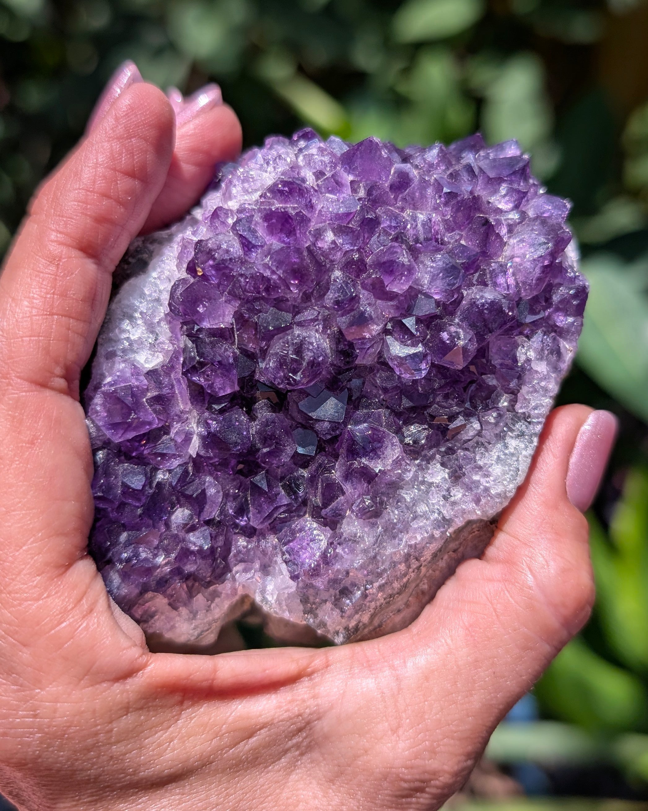 Amethyst Druzy Cluster F