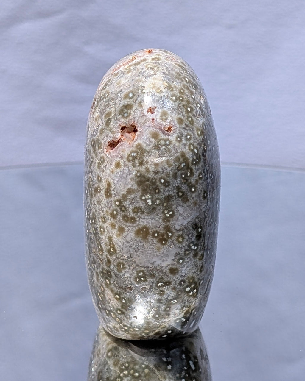 Ocean Jasper C