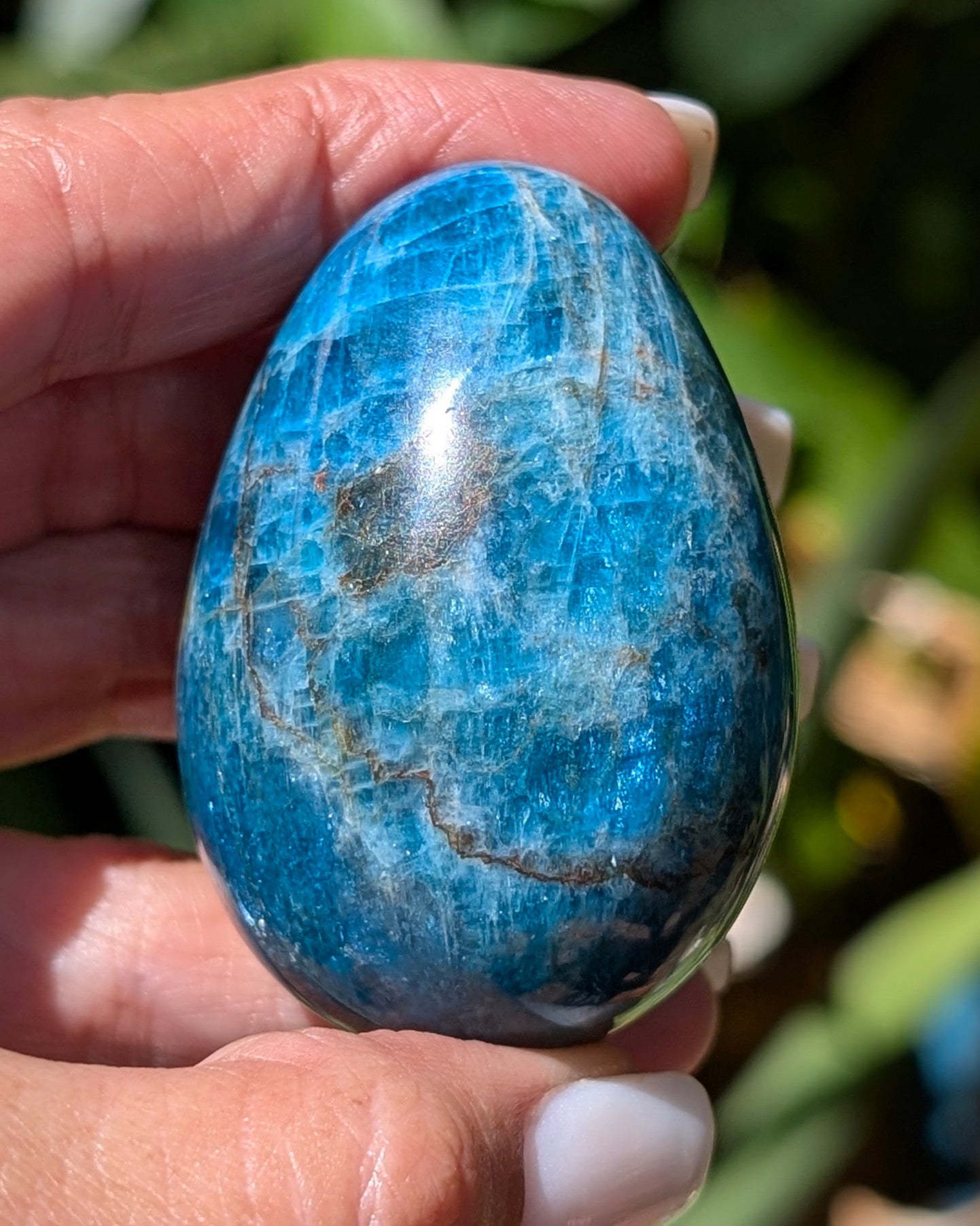 Apatite Egg - Opt. I