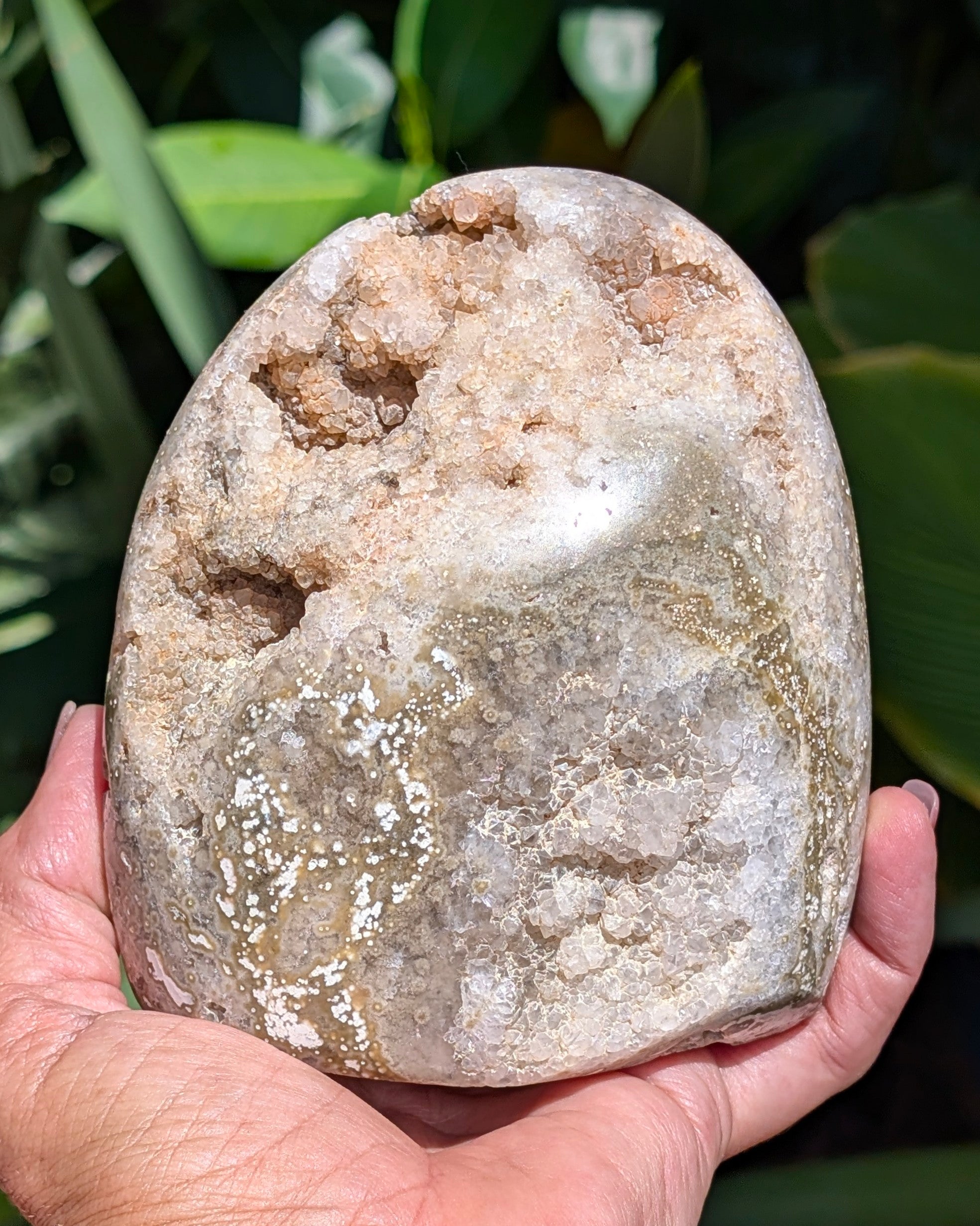 Ocean Jasper A