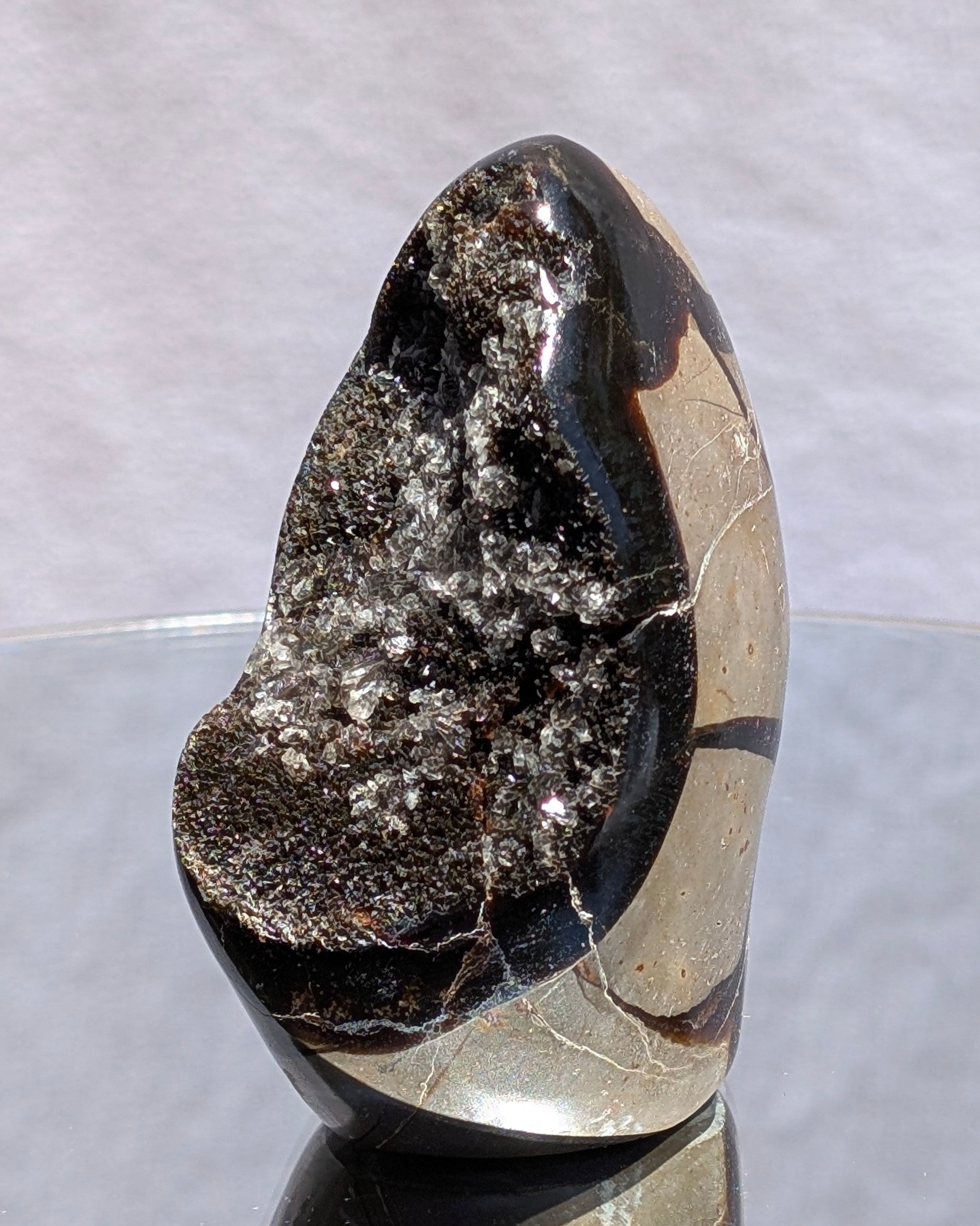 Septarian Dragon Egg E