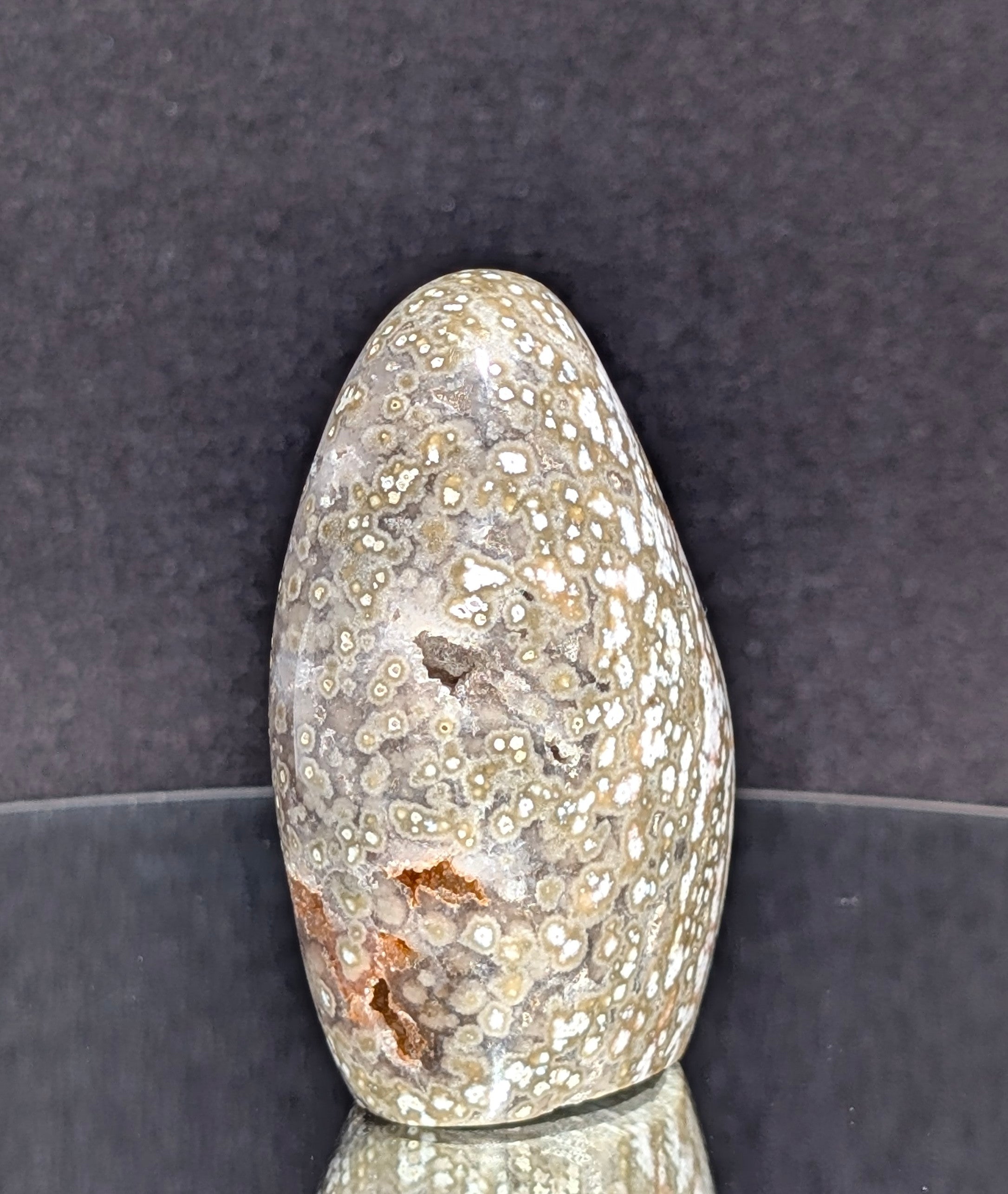 Ocean Jasper B