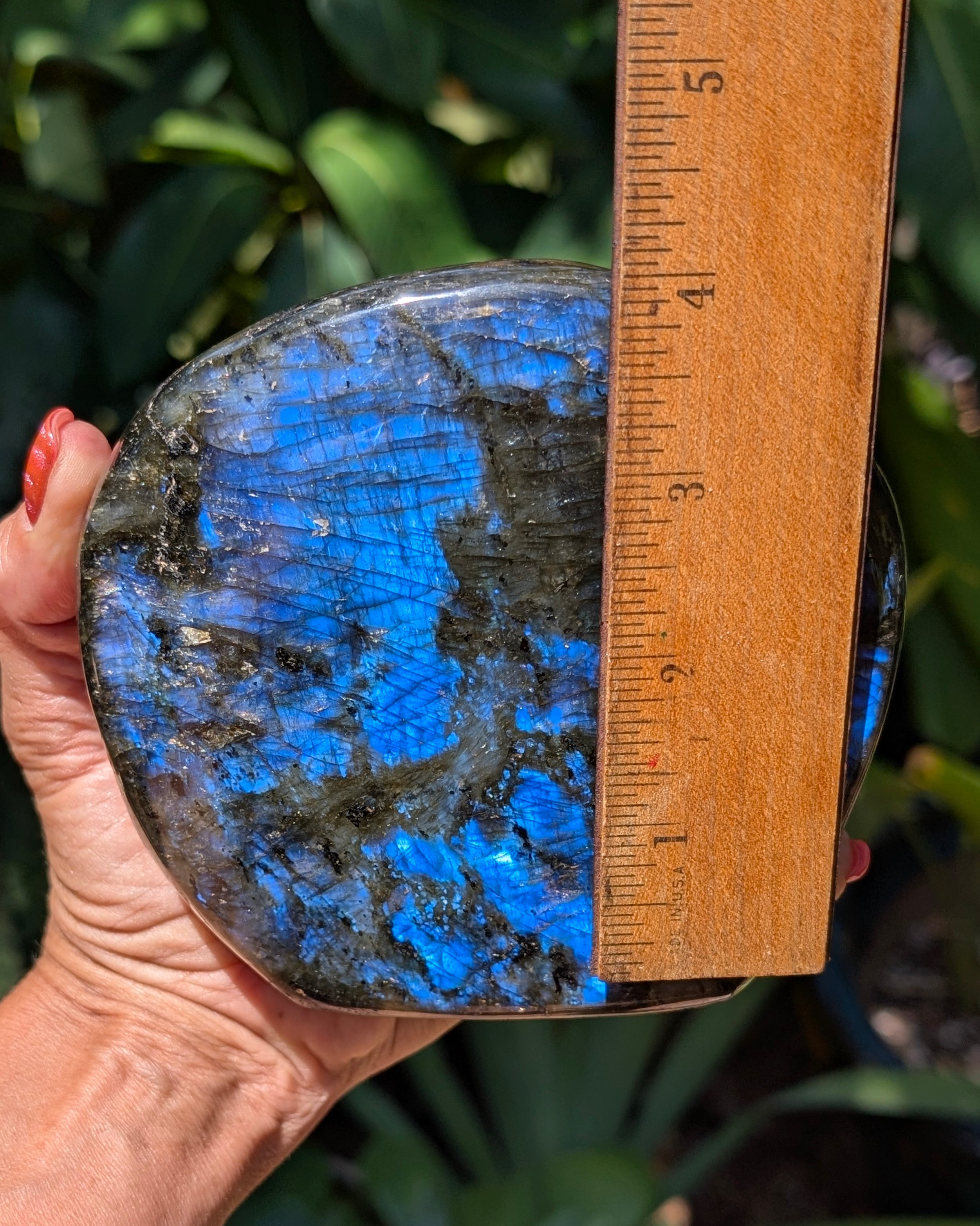 Flashy Blue Labradorite Freeform - Opt. D